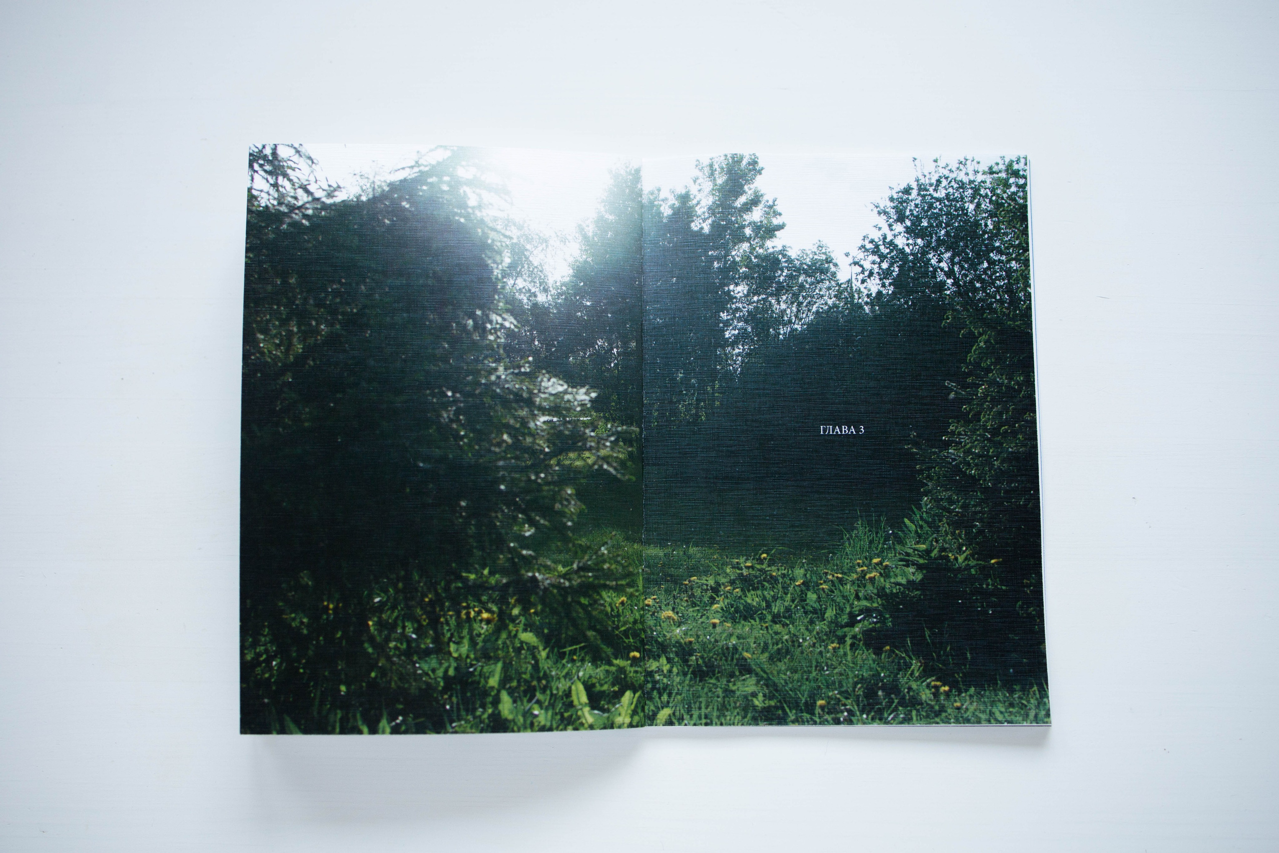 Искусство. Женский портрет вне времени. Санкт-Петербург