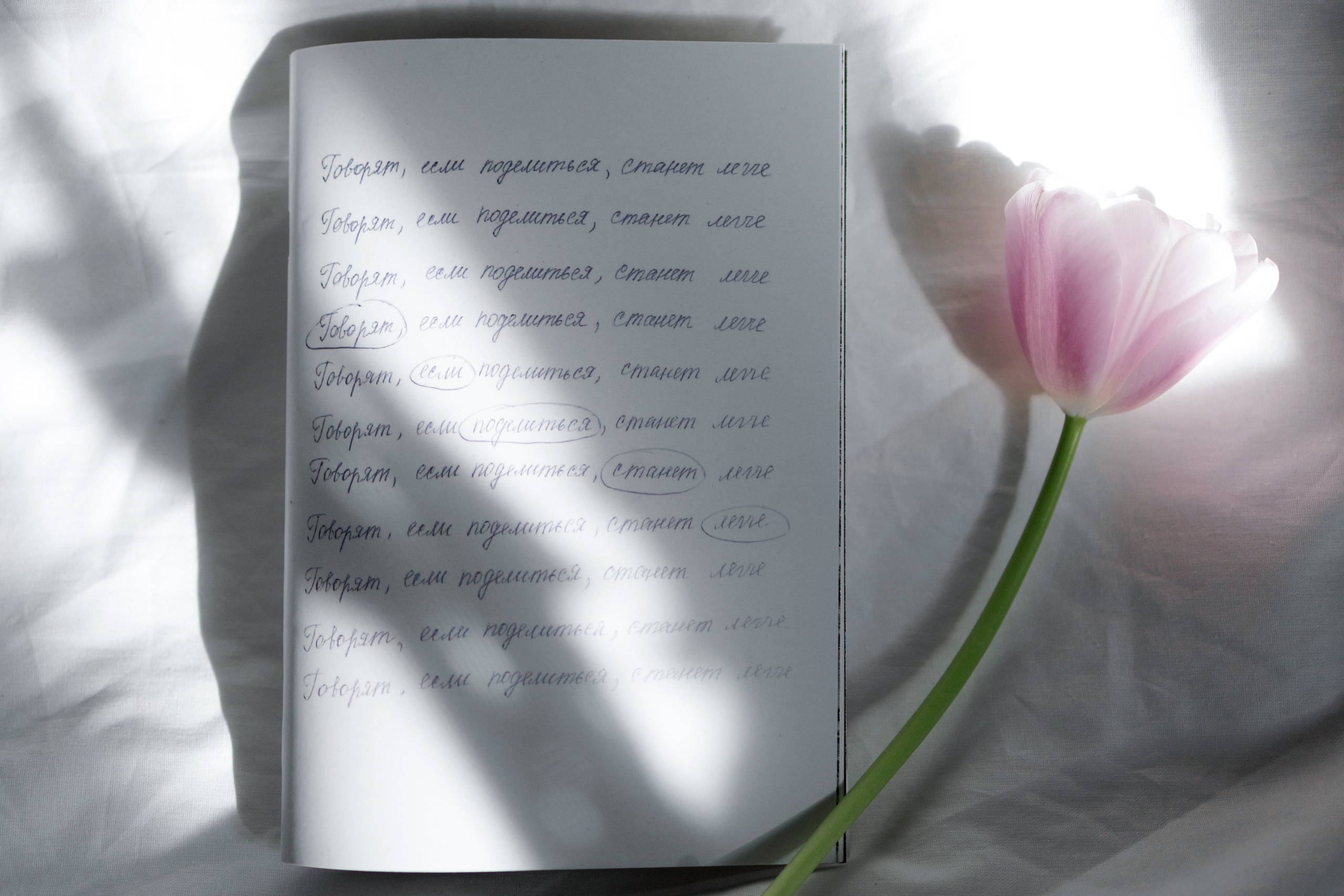 Искусство. Женский портрет вне времени. Санкт-Петербург