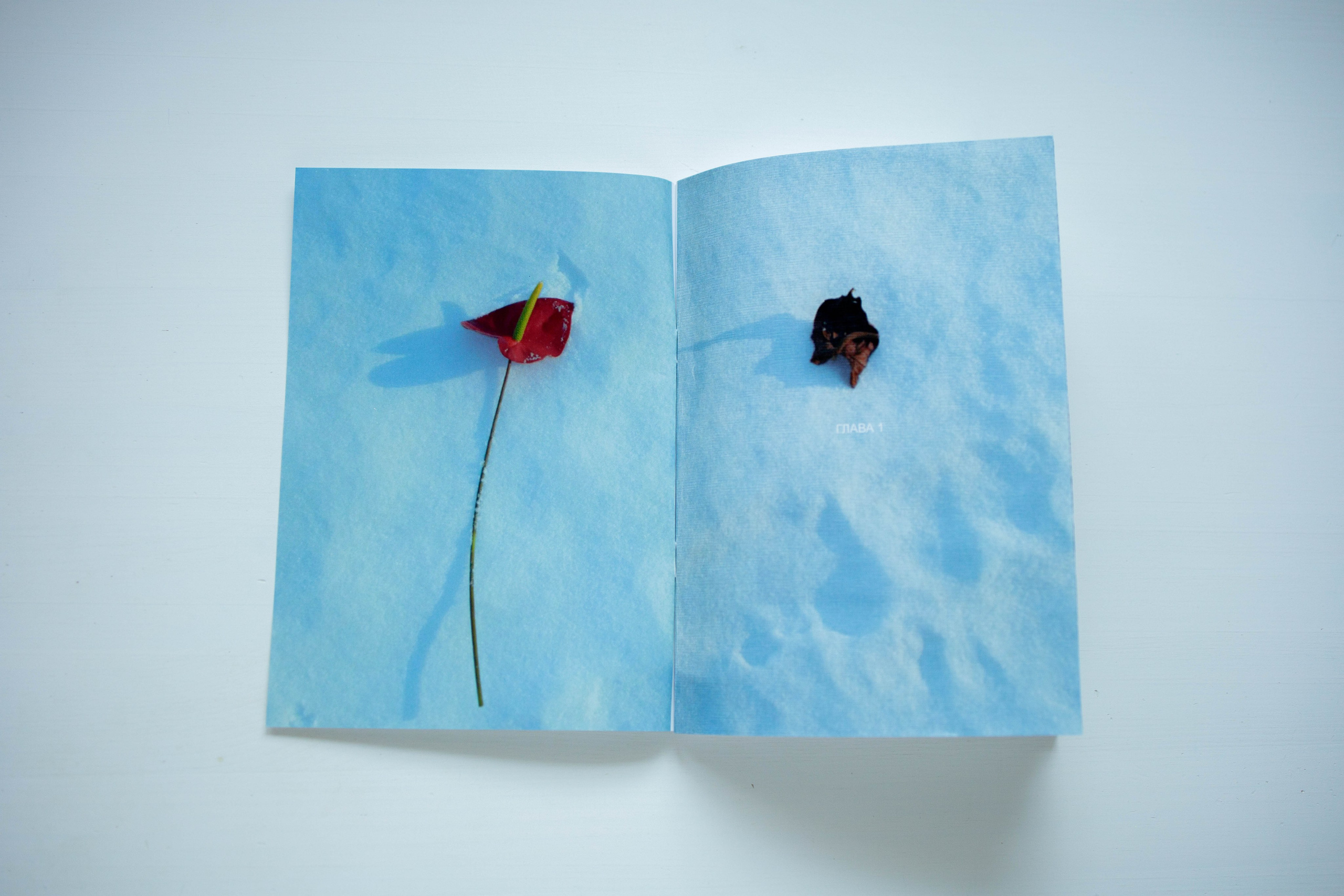 Искусство. Женский портрет вне времени. Санкт-Петербург