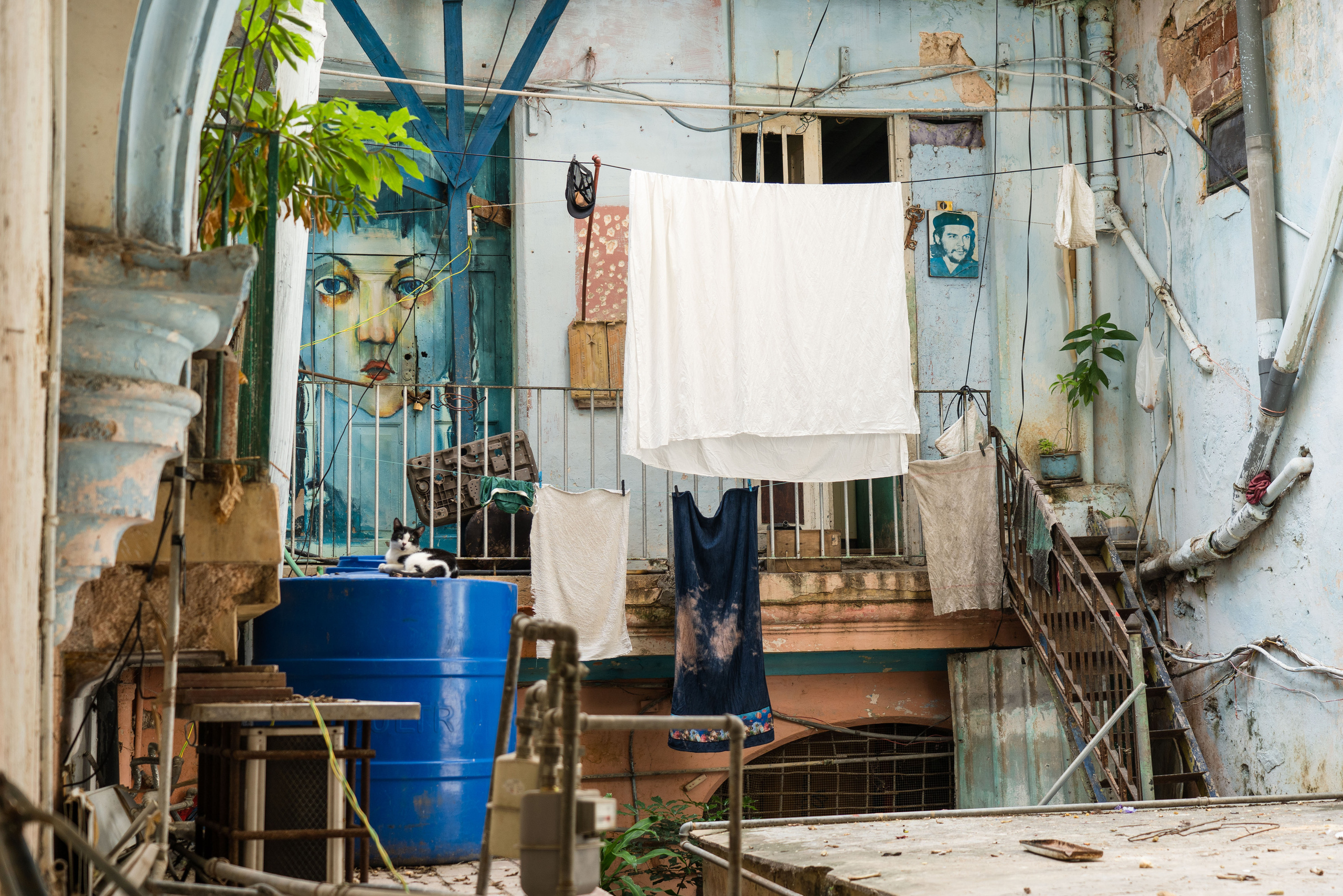 Гавана 2021. Каталожная и промышленная съемка в Москве Александр Плонский