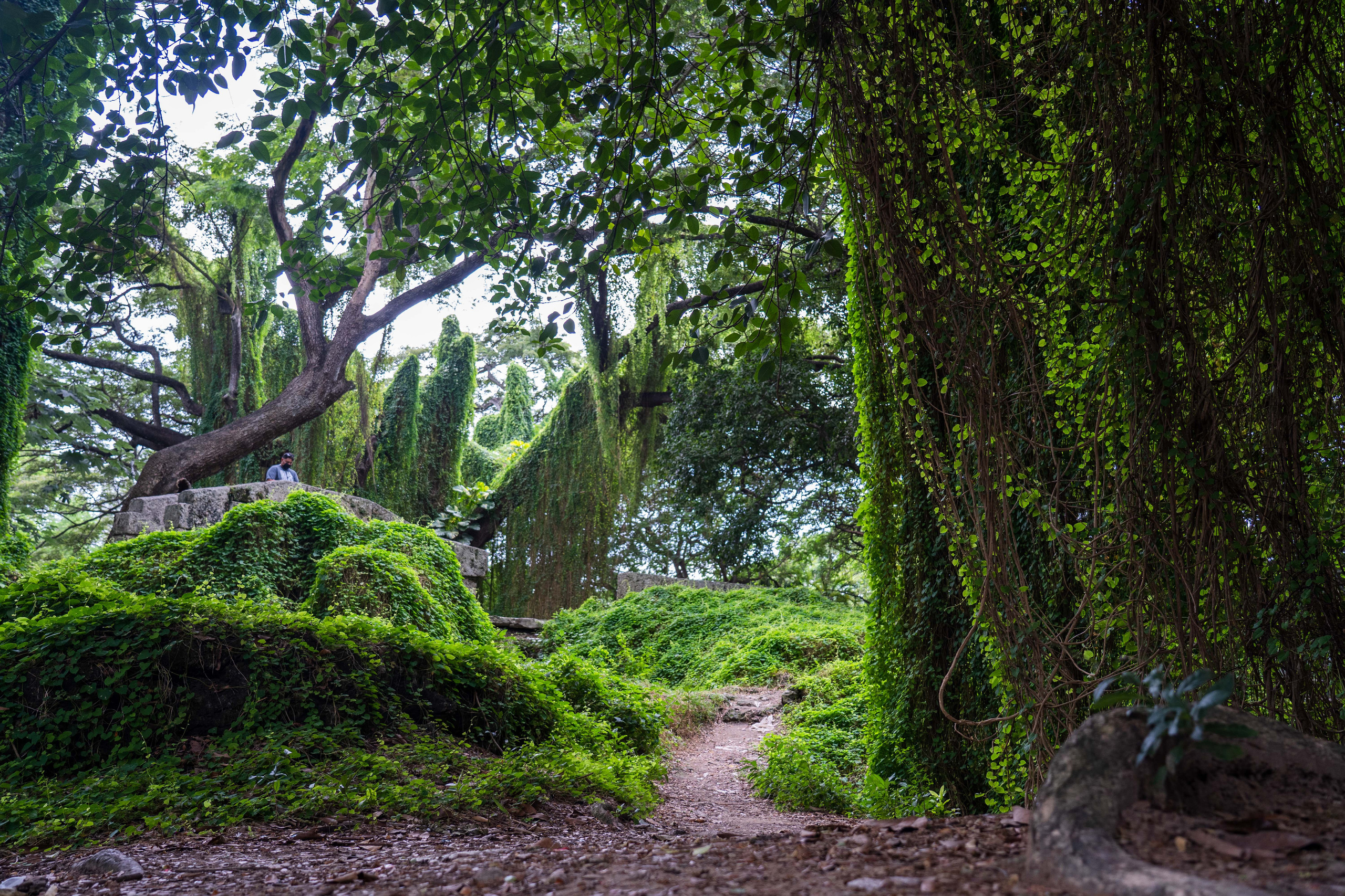 Гавана 2021. Каталожная и промышленная съемка в Москве Александр Плонский