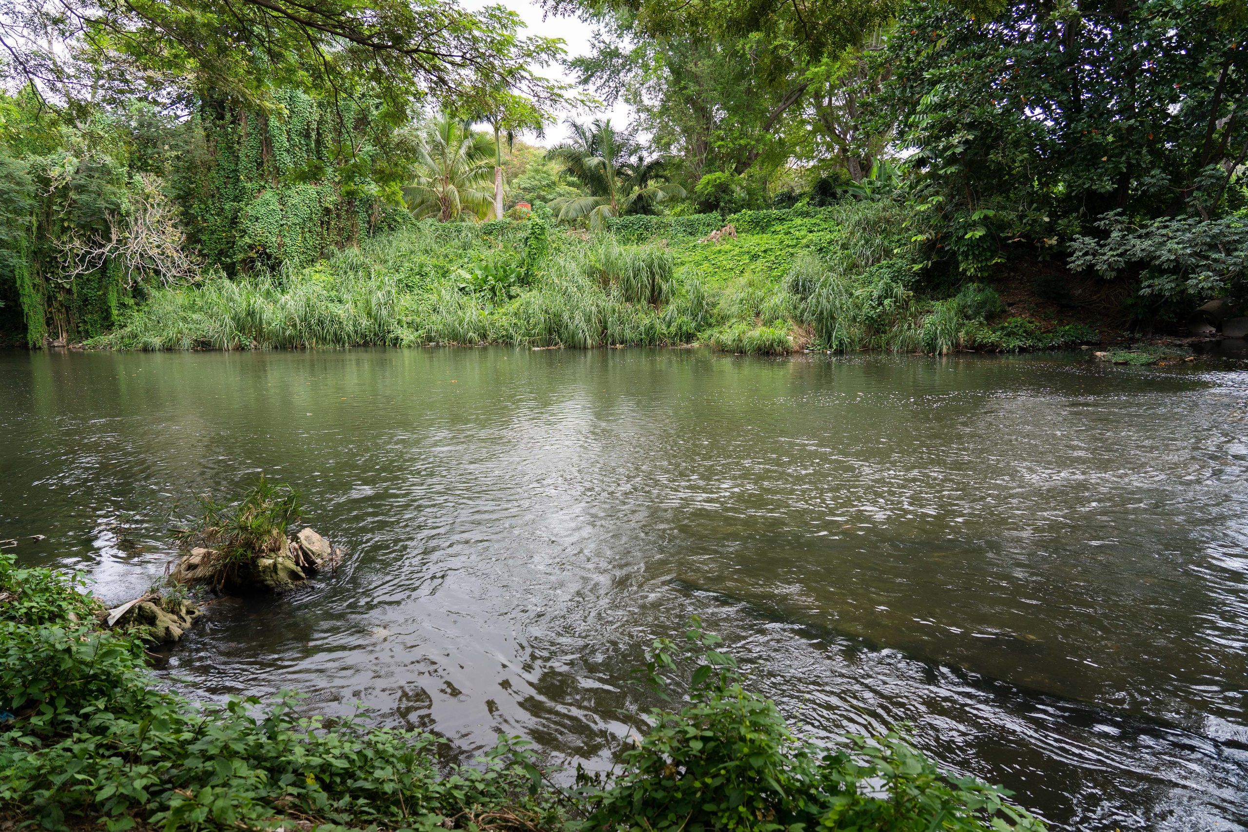 Гавана 2021. Каталожная и промышленная съемка в Москве Александр Плонский