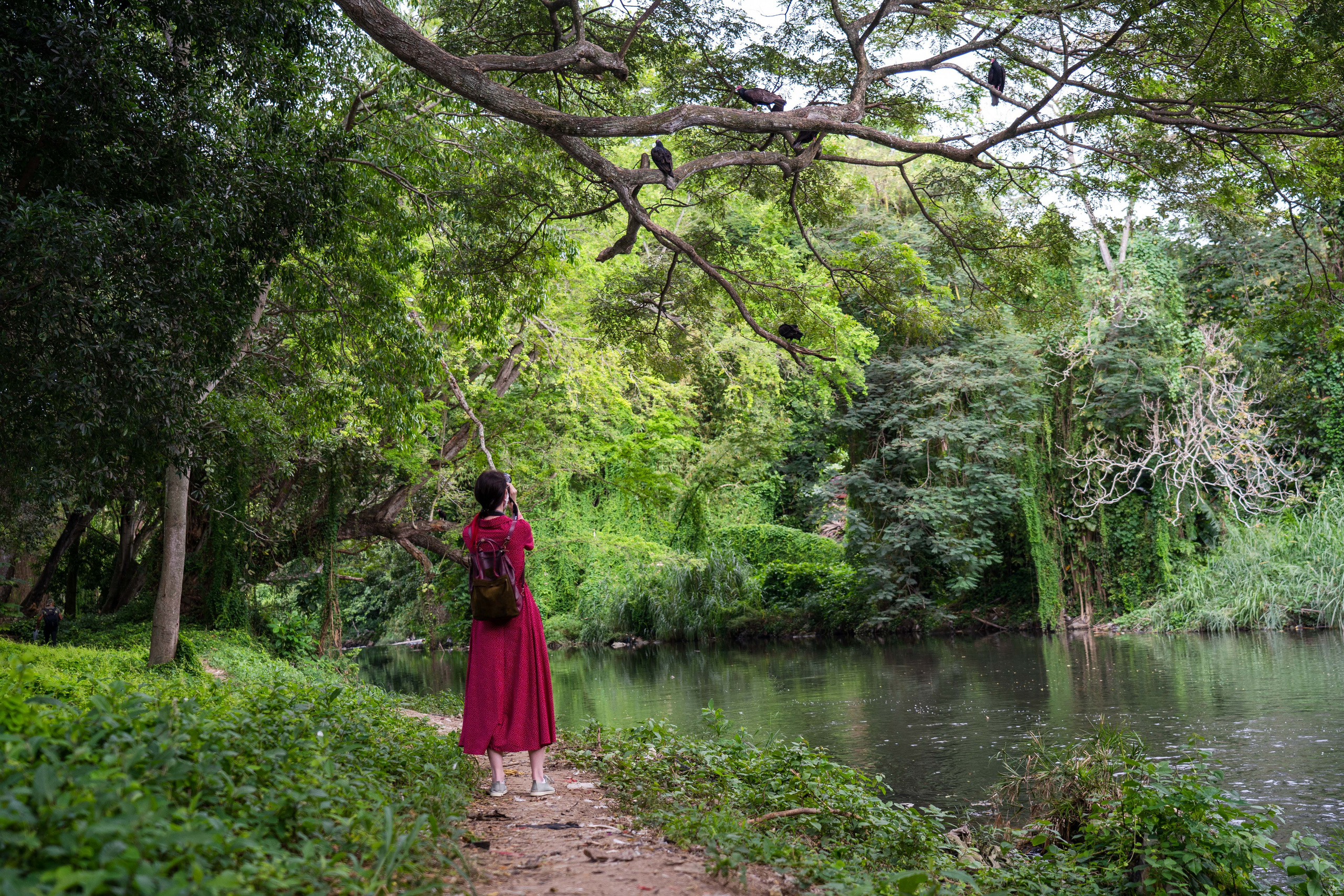 Гавана 2021. Каталожная и промышленная съемка в Москве Александр Плонский