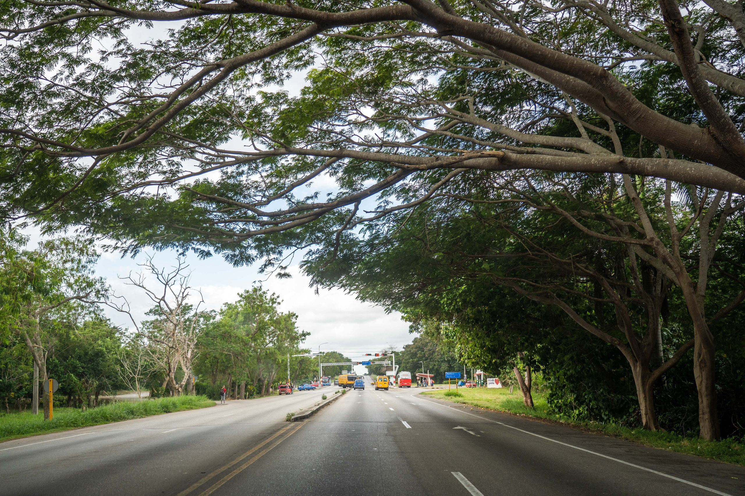 Гавана 2021. Каталожная и промышленная съемка в Москве Александр Плонский