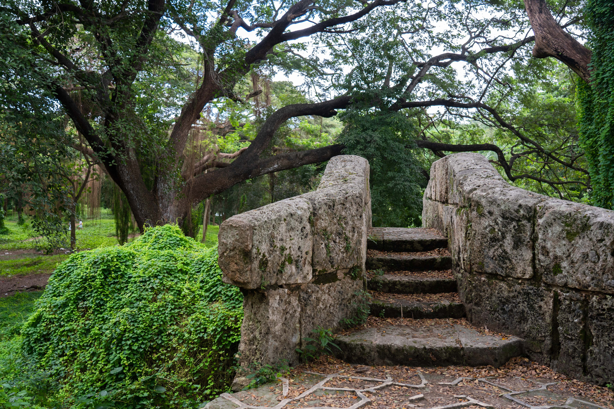 Гавана 2021. Каталожная и промышленная съемка в Москве Александр Плонский