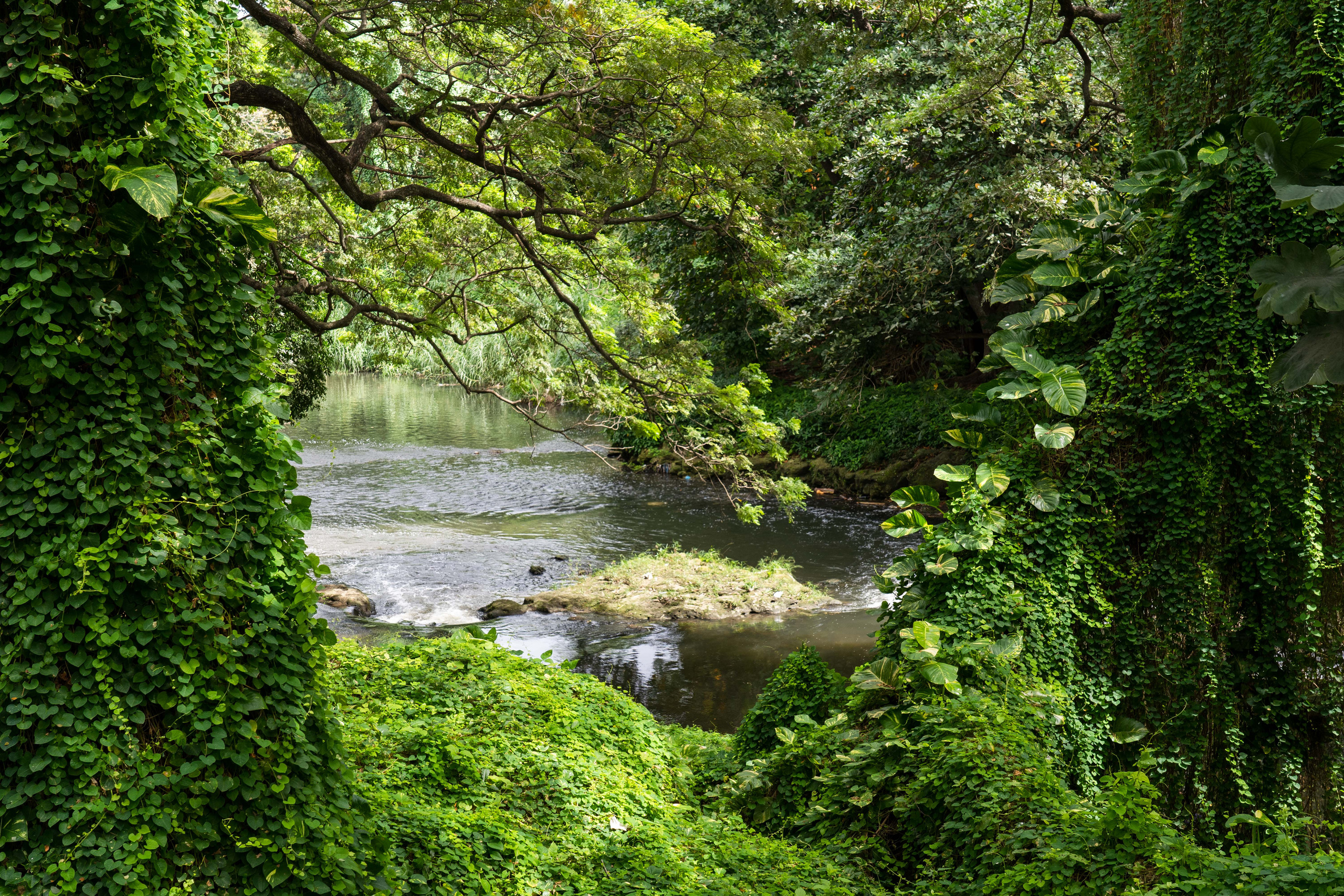 Гавана 2021. Каталожная и промышленная съемка в Москве Александр Плонский