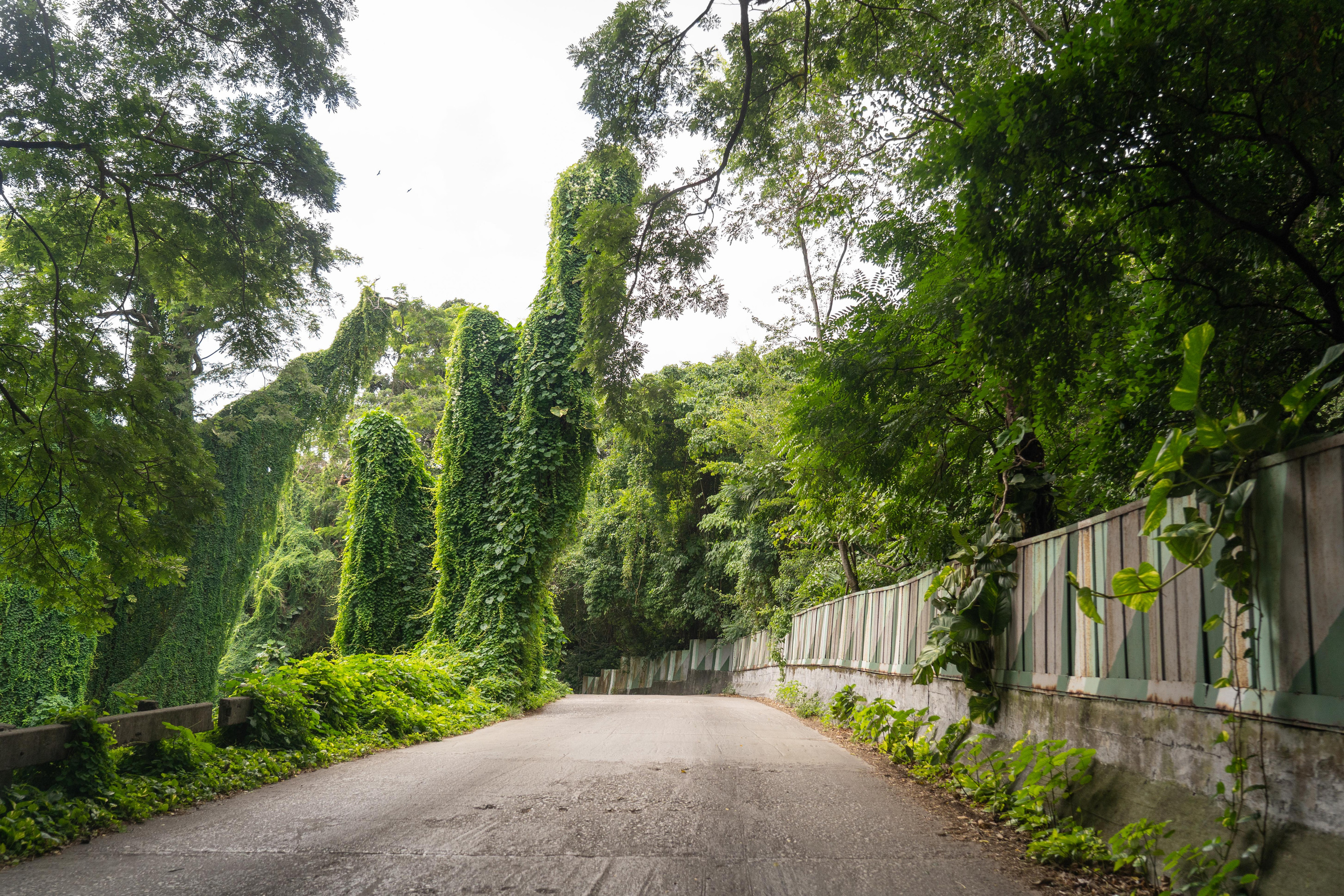 Гавана 2021. Каталожная и промышленная съемка в Москве Александр Плонский