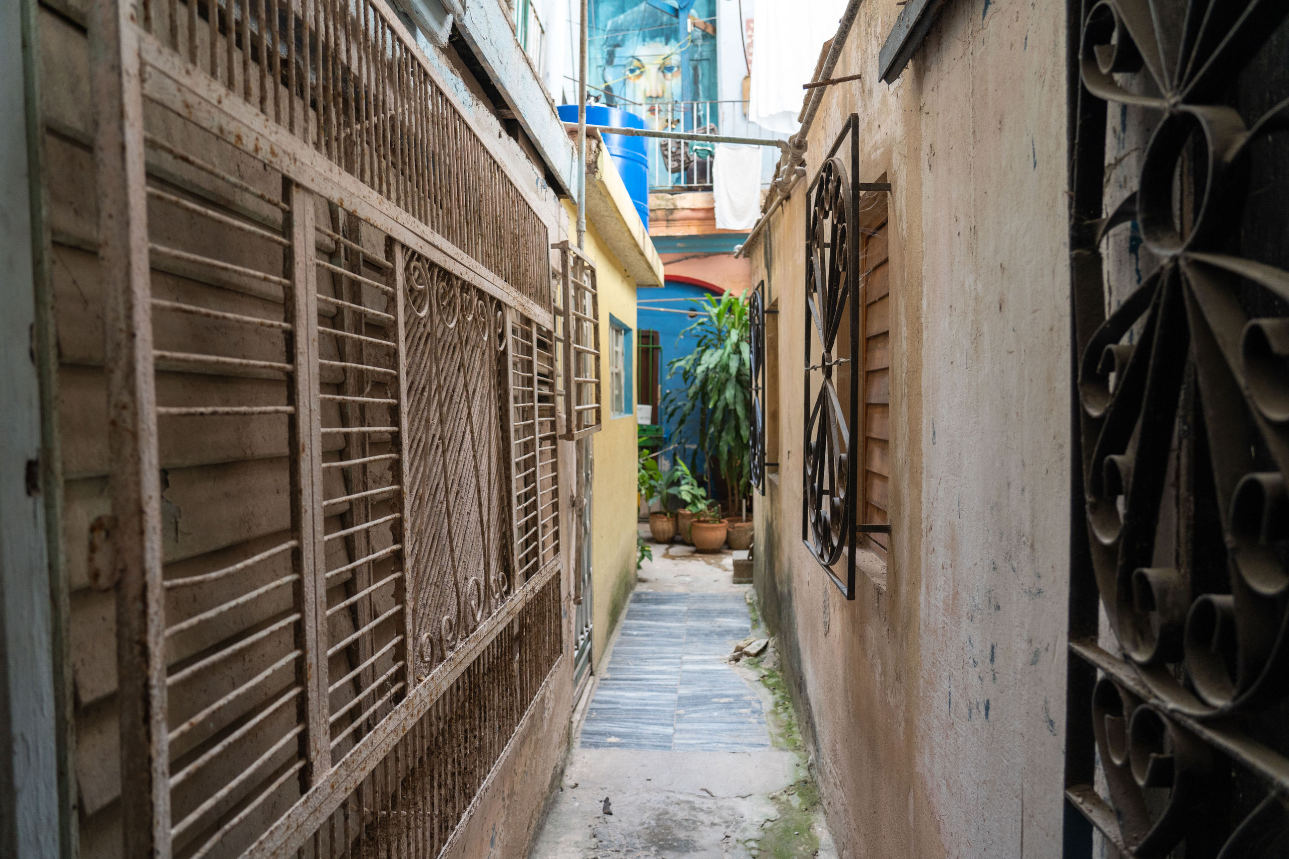 Гавана 2021. Каталожная и промышленная съемка в Москве Александр Плонский