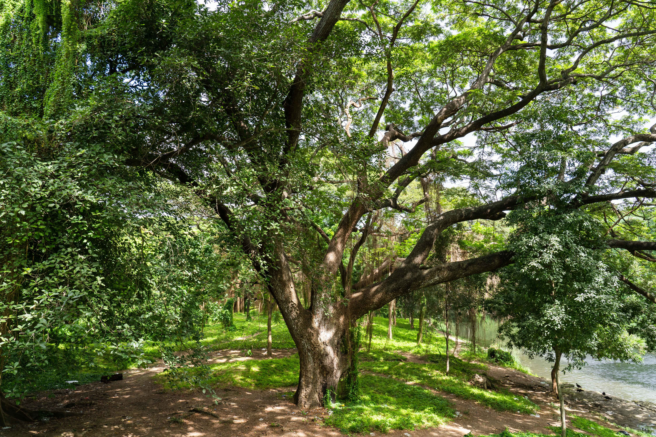 Гавана 2021. Каталожная и промышленная съемка в Москве Александр Плонский