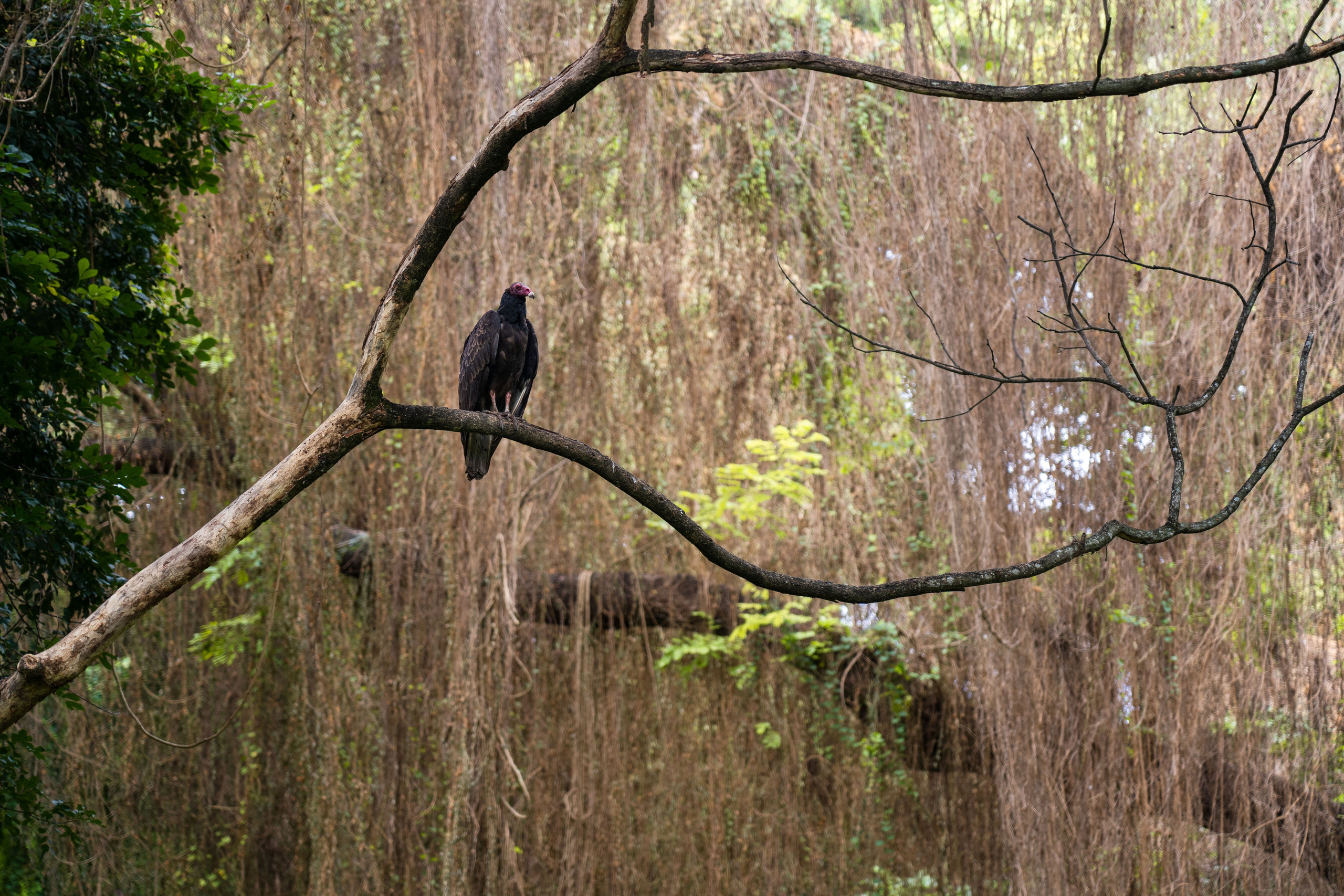 Гавана 2021. Каталожная и промышленная съемка в Москве Александр Плонский