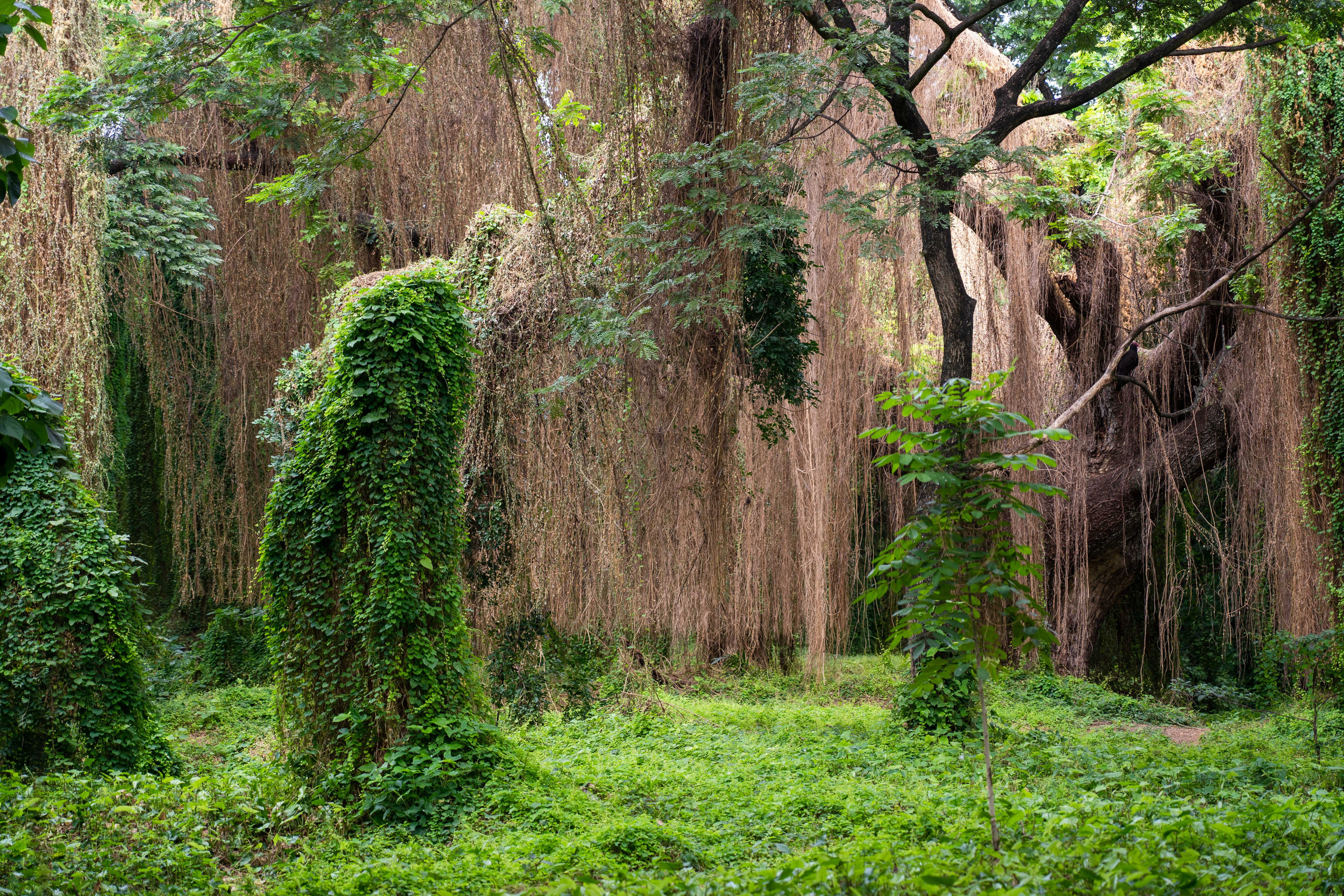 Гавана 2021. Каталожная и промышленная съемка в Москве Александр Плонский