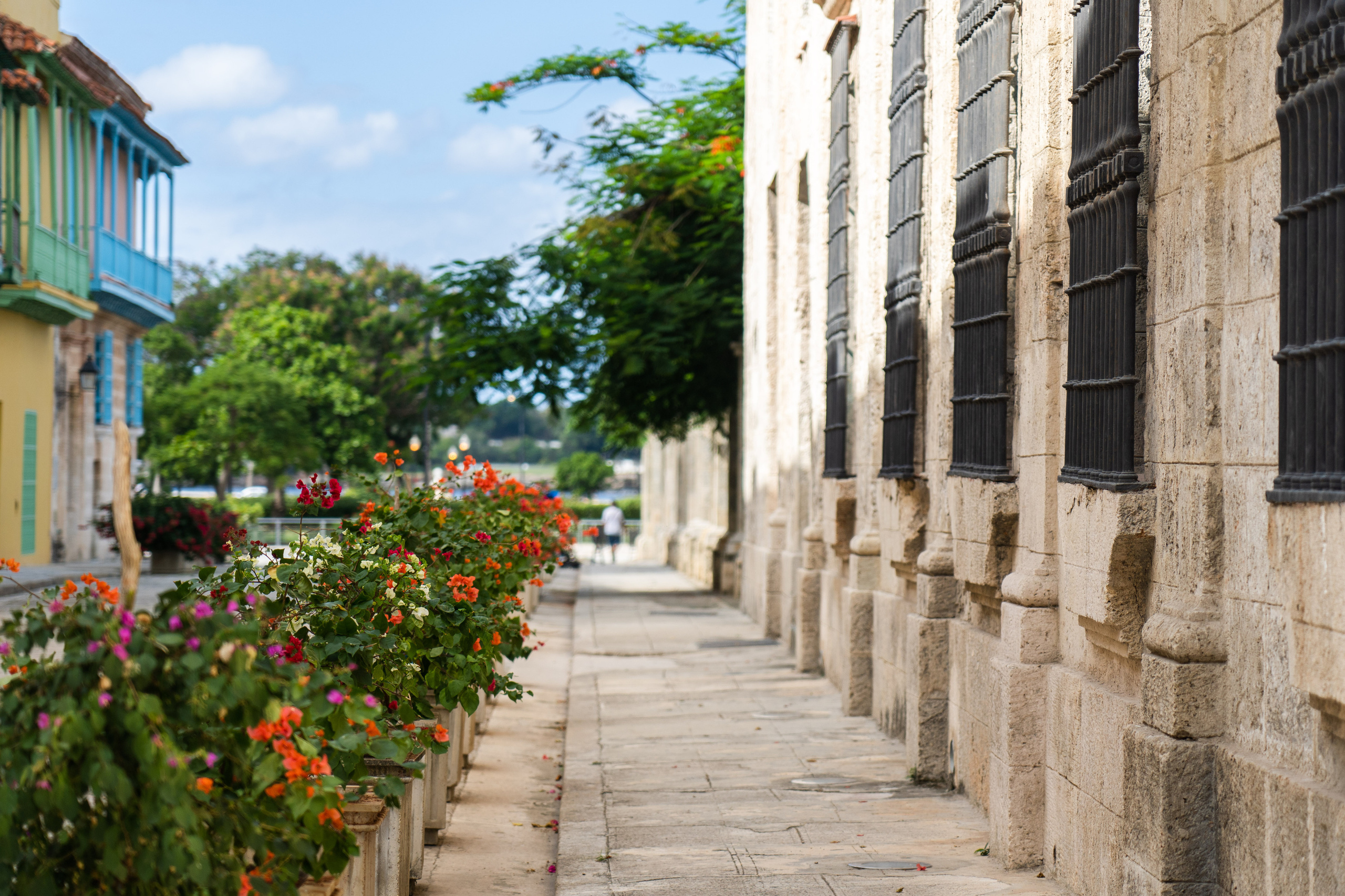 Гавана 2021. Каталожная и промышленная съемка в Москве Александр Плонский