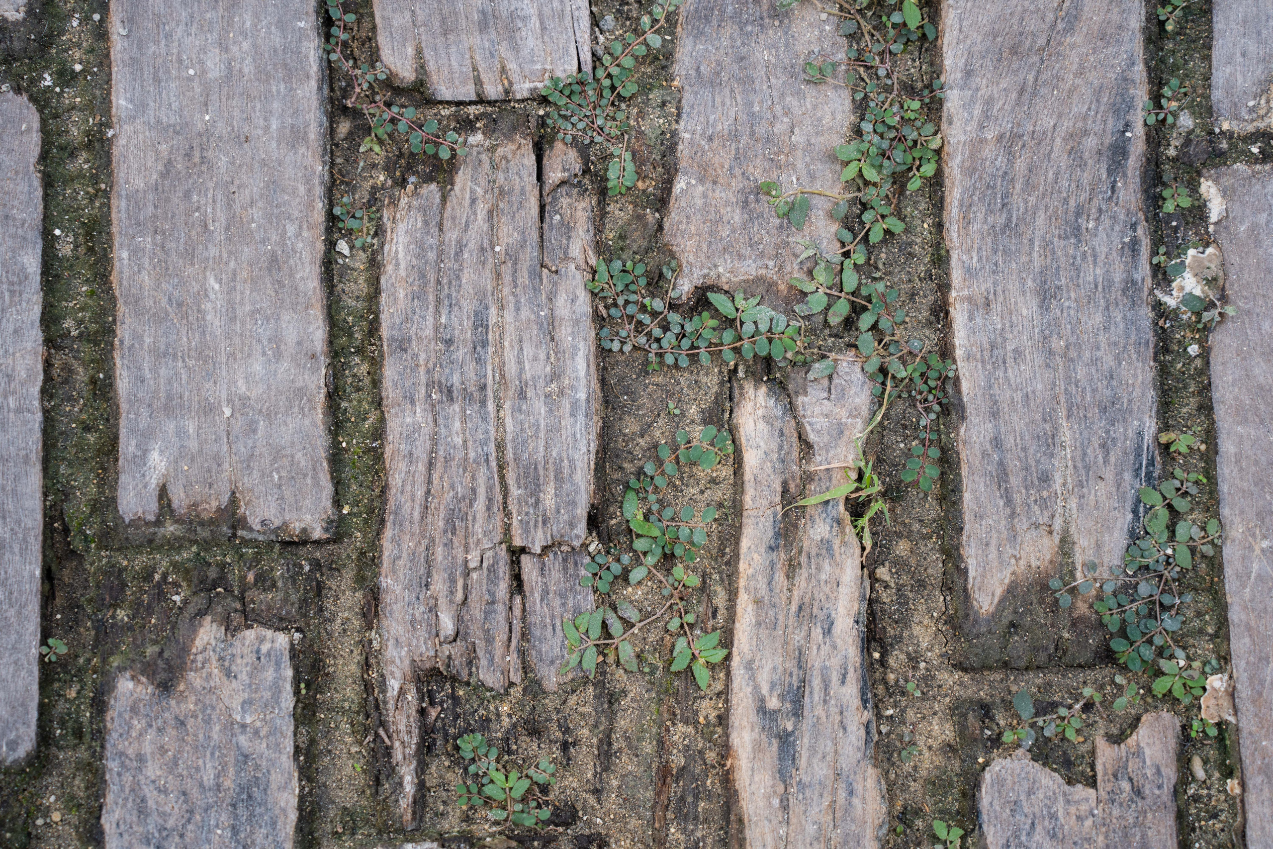 Гавана 2021. Каталожная и промышленная съемка в Москве Александр Плонский