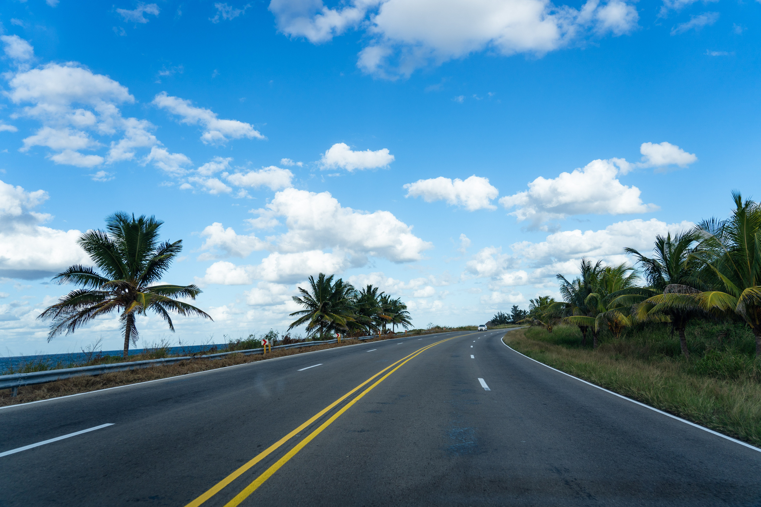 Гавана 2021. Каталожная и промышленная съемка в Москве Александр Плонский