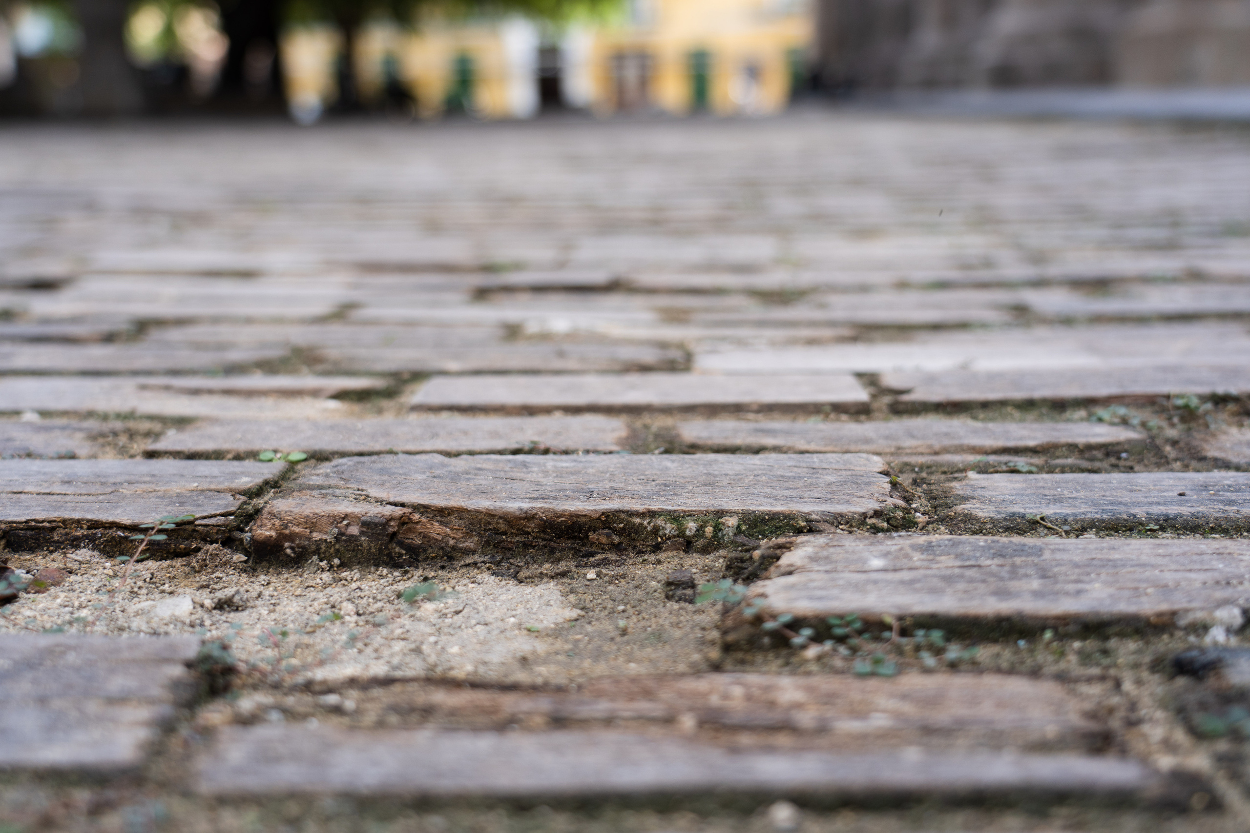 Гавана 2021. Каталожная и промышленная съемка в Москве Александр Плонский