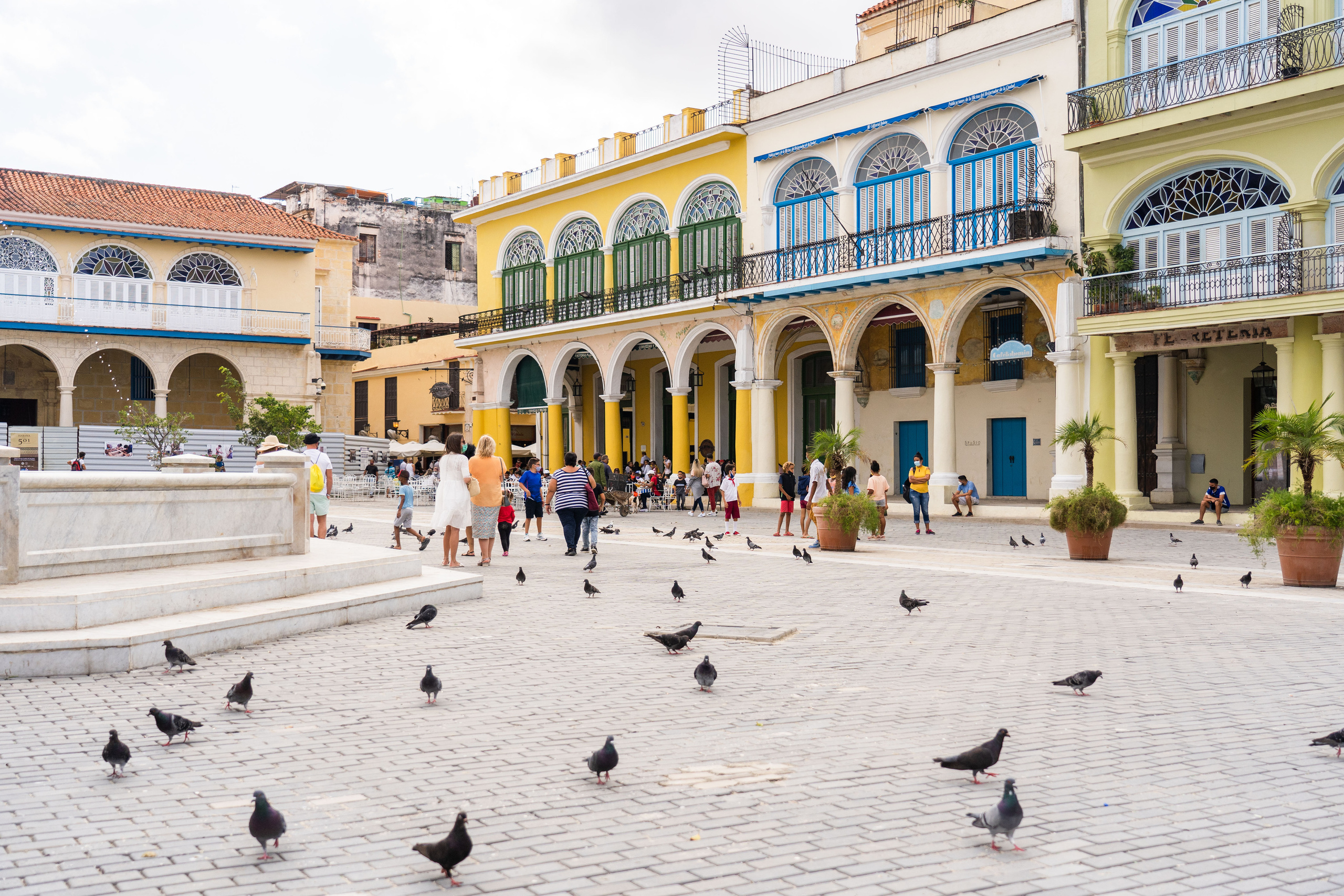 Гавана 2021. Каталожная и промышленная съемка в Москве Александр Плонский