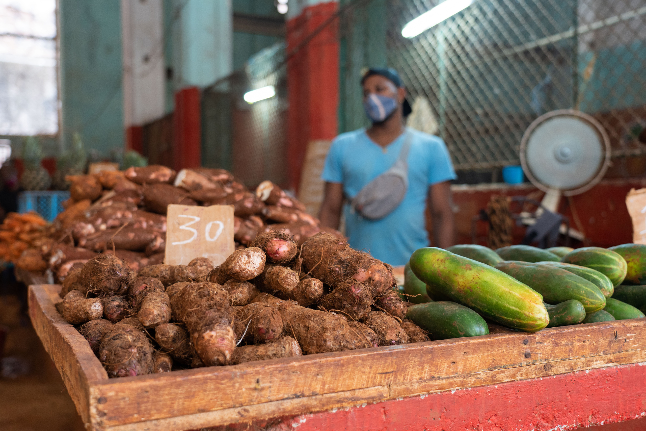 Гавана 2021. Каталожная и промышленная съемка в Москве Александр Плонский