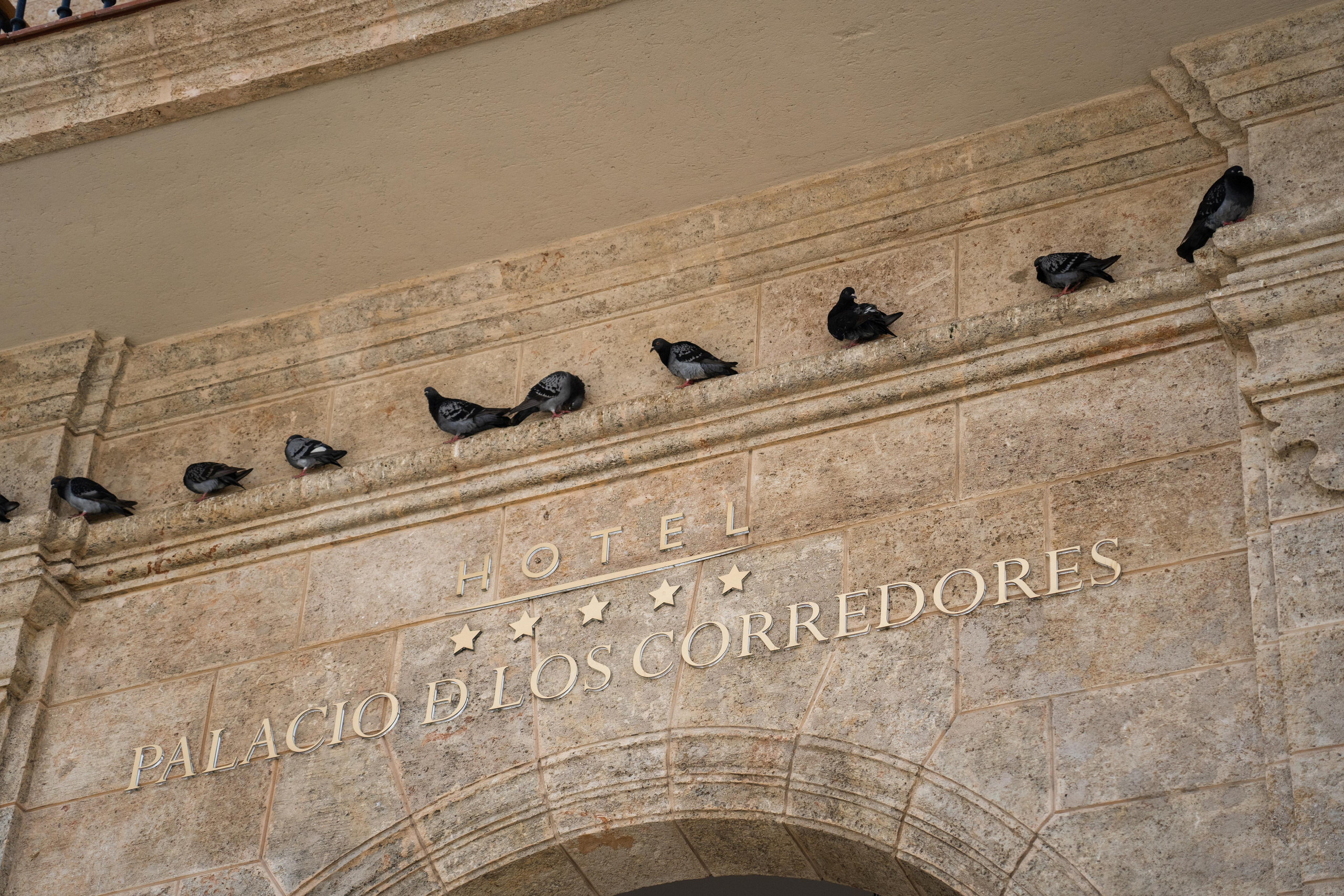 Гавана 2021. Каталожная и промышленная съемка в Москве Александр Плонский