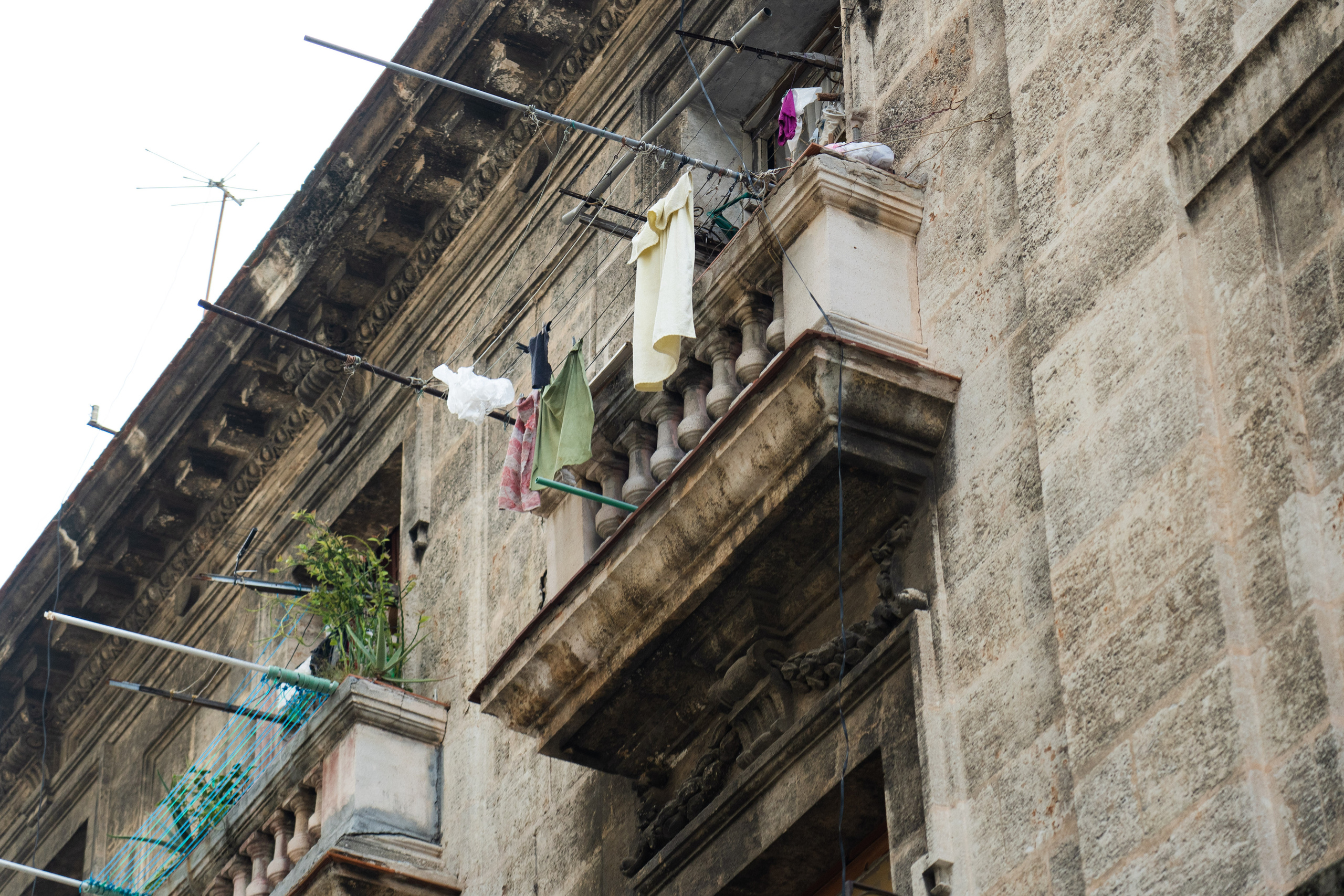 Гавана 2021. Каталожная и промышленная съемка в Москве Александр Плонский