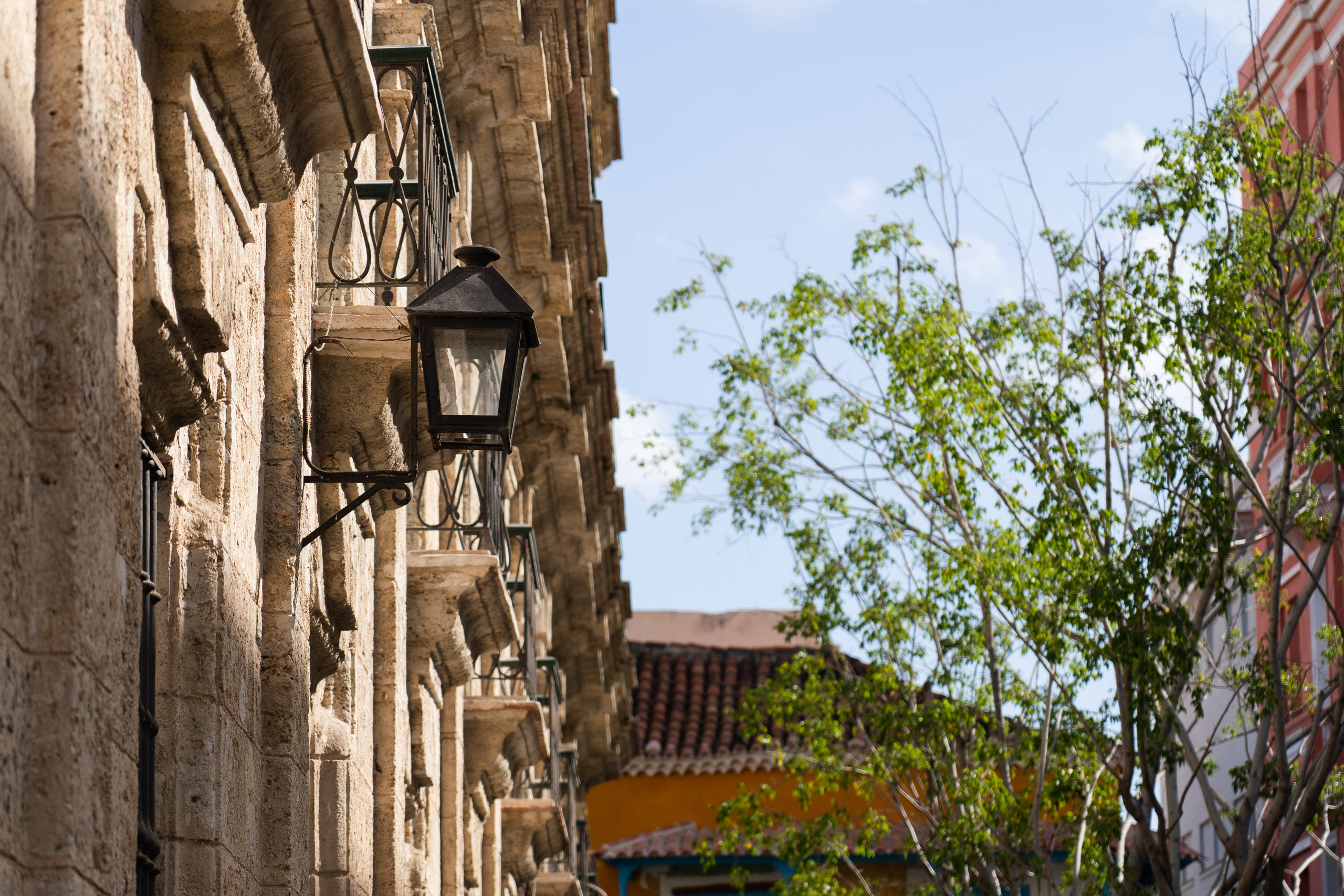 Гавана 2021. Каталожная и промышленная съемка в Москве Александр Плонский