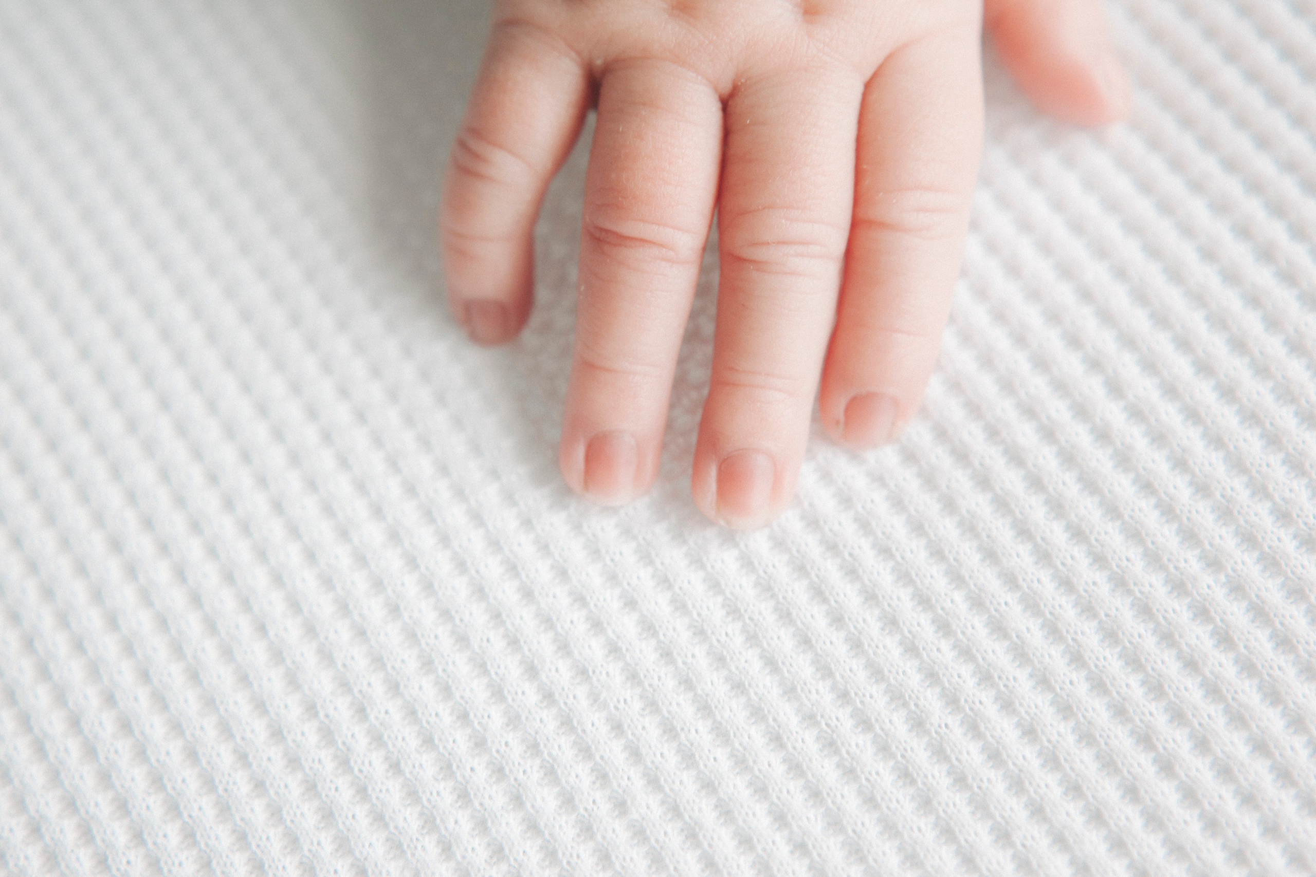 Портфолио. Фотограф новорожденных в Воронеже