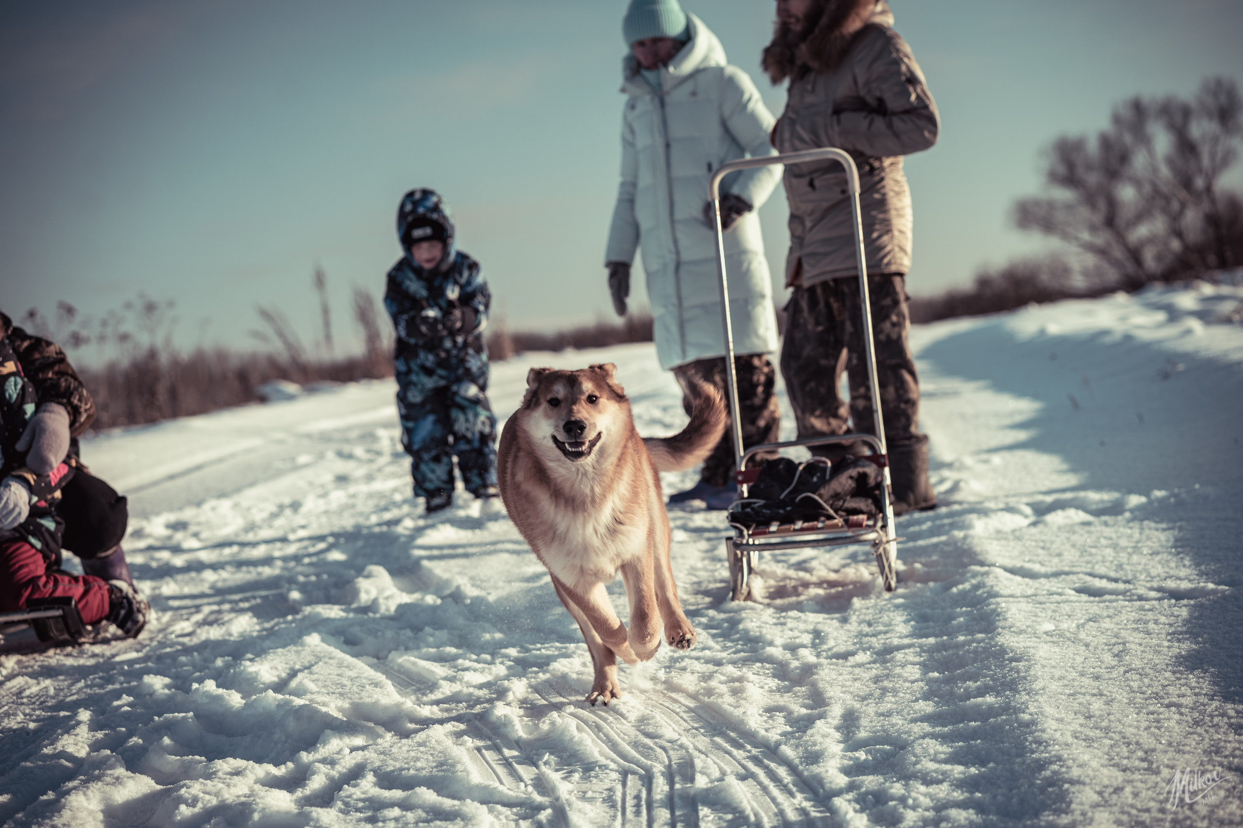 Mikoff — Воспоминания и эмоции неподвластные времени