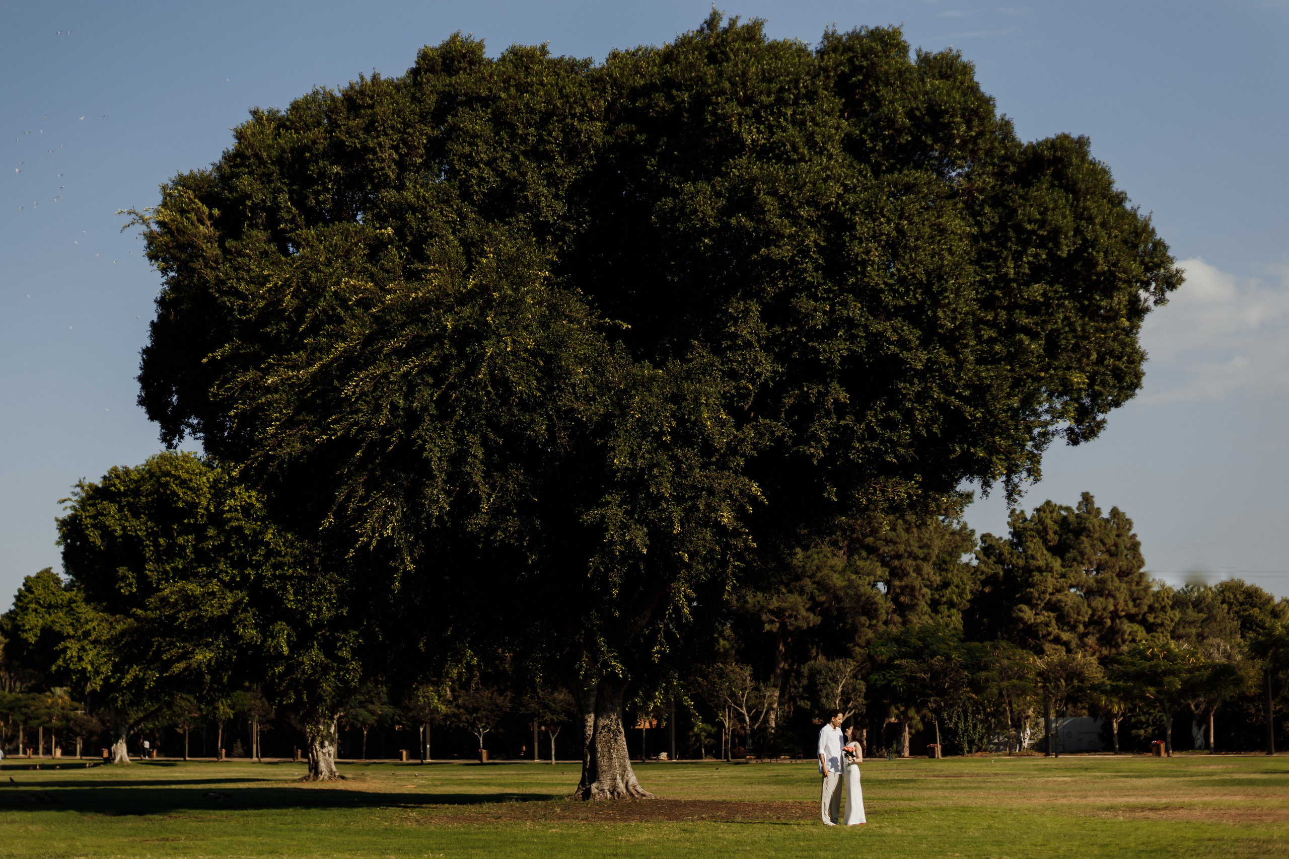 Packages. Photographer Michael Alekseev