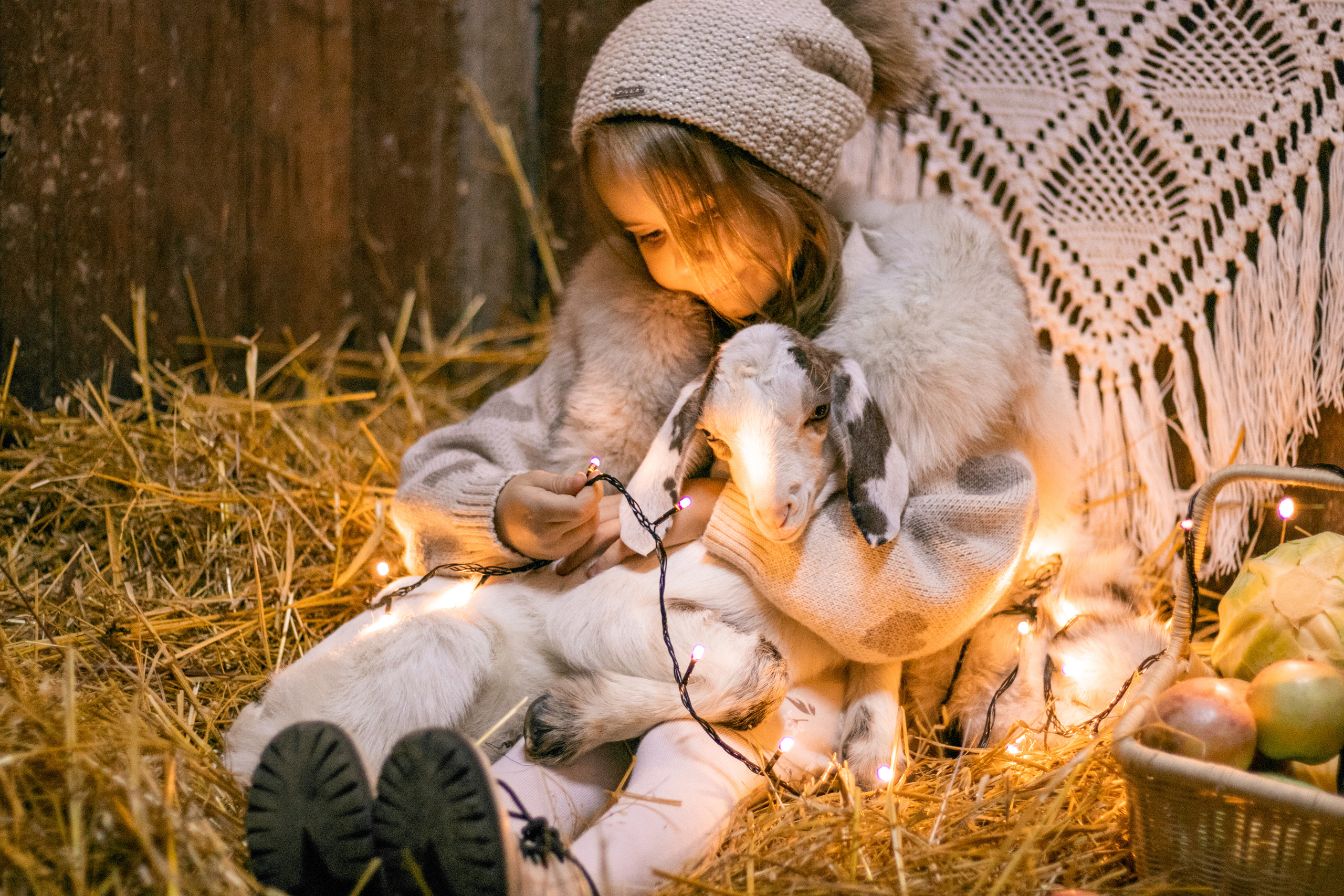 Цены. Фотосессии с лошадьми в Москве, Новосибирске