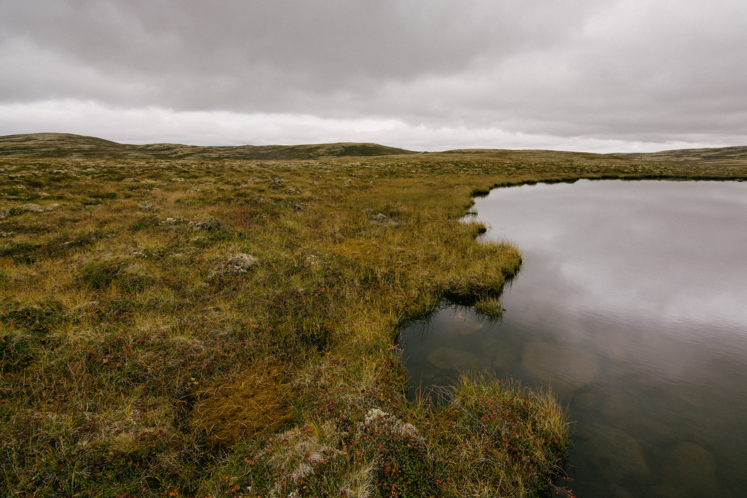 Вадим Чецкий|Портретный фотограф