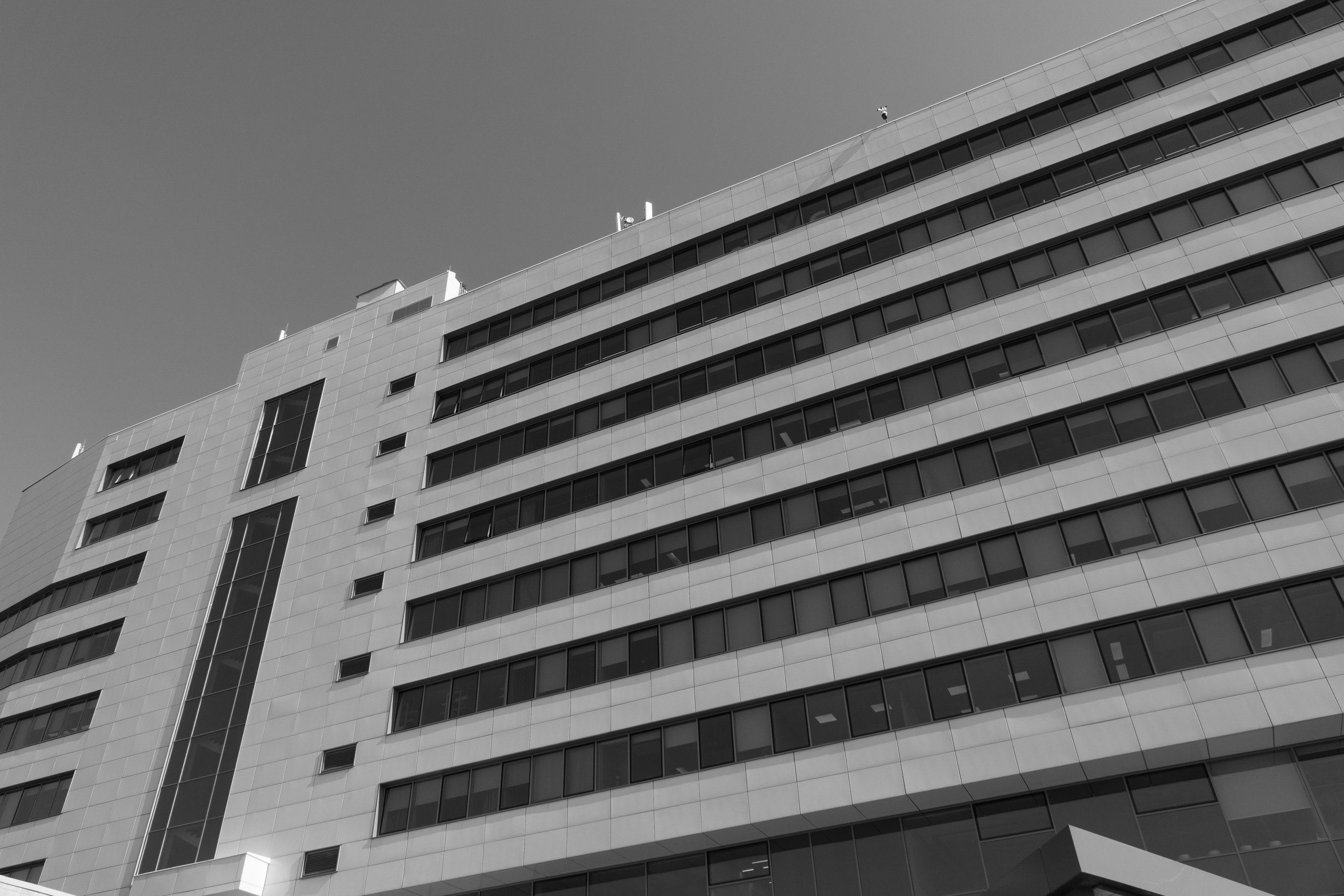 Весна. Прогулка во дворе офиса. Фотограф Евгений Серебряков в Екатеринбурге