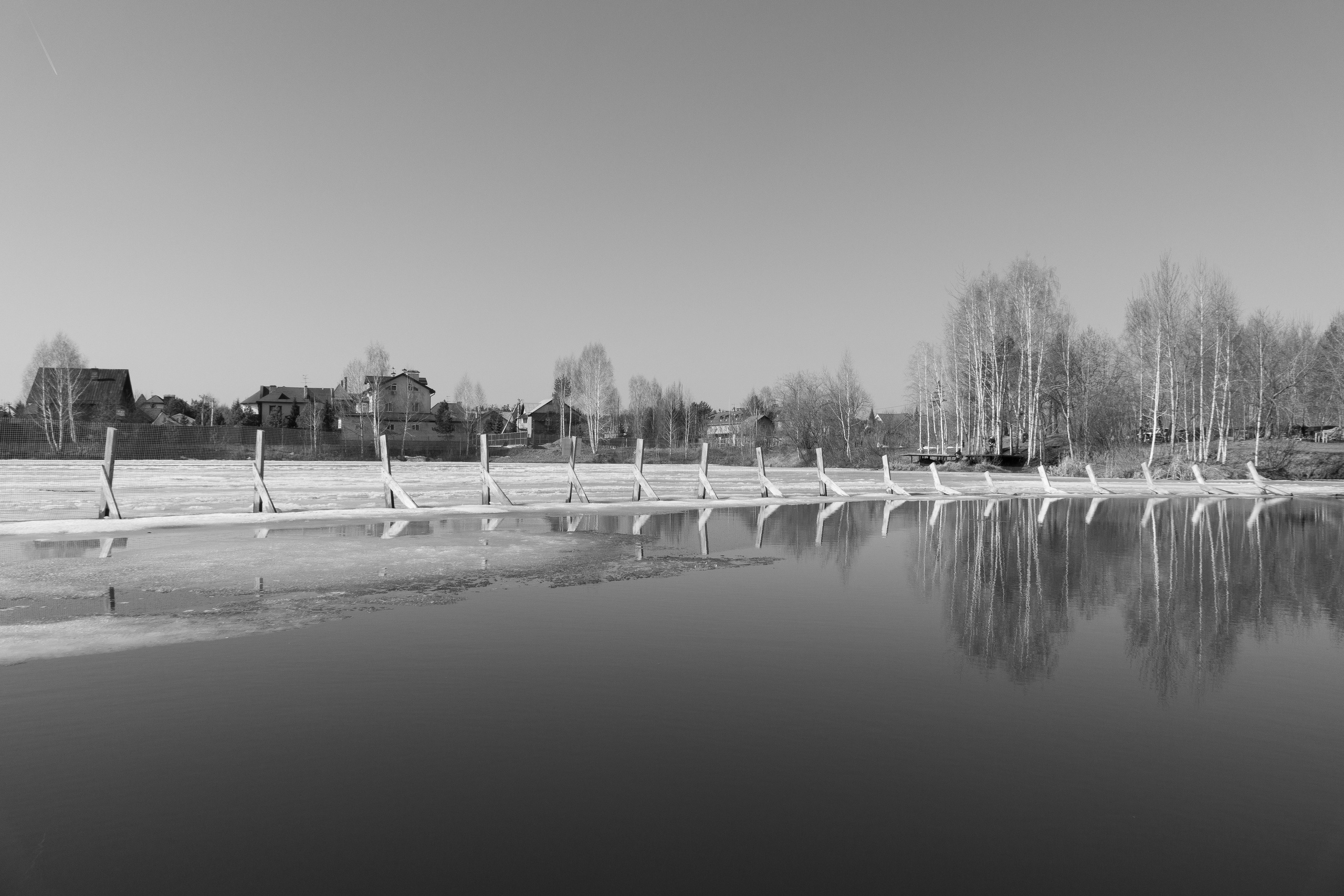 Весна. Прогулка во дворе офиса. Фотограф Евгений Серебряков в Екатеринбурге