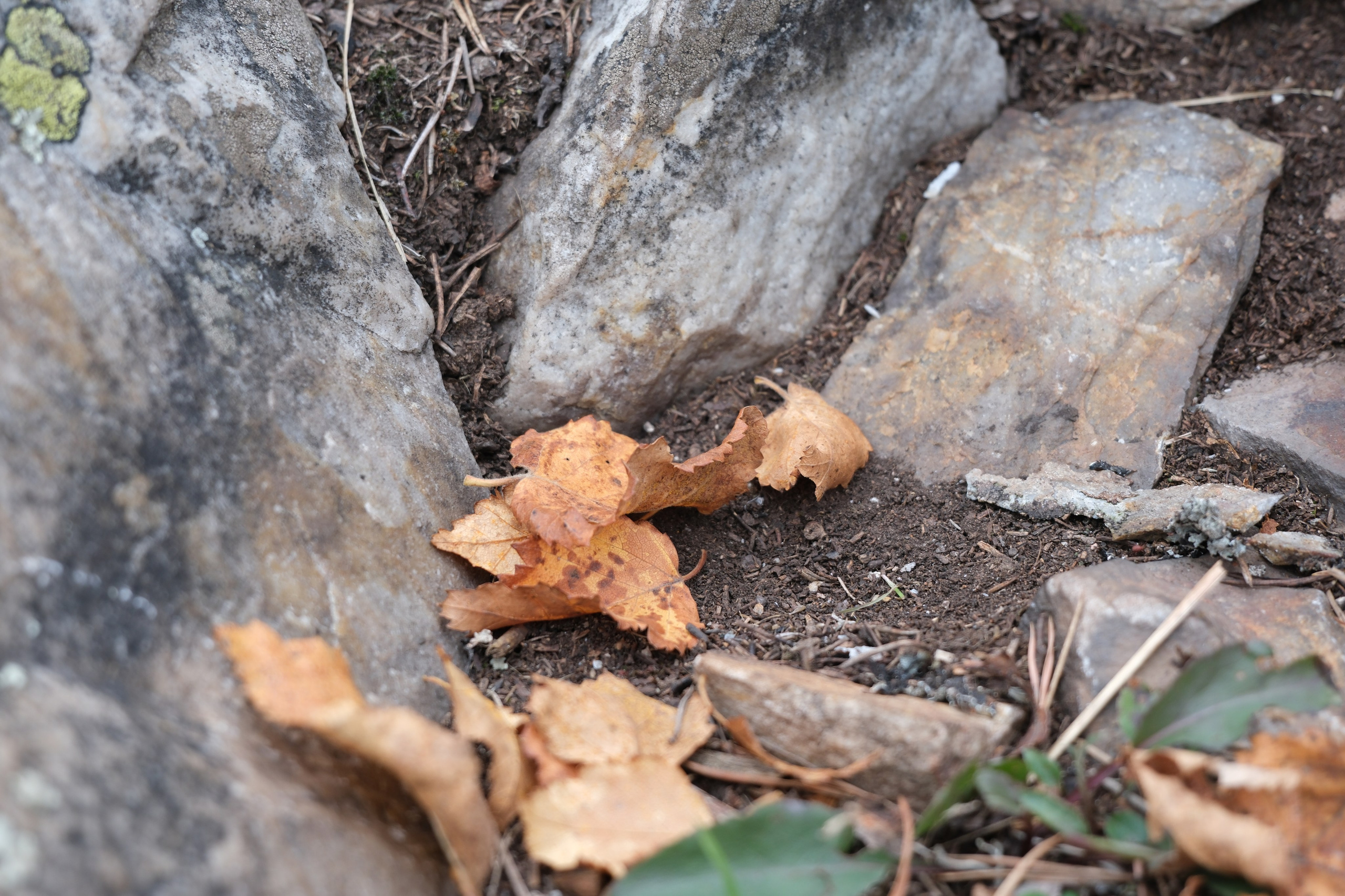 Осенний Айгир. 2025. Начинающий фотограф-любитель Евгений Серебряков в Екатеринбурге