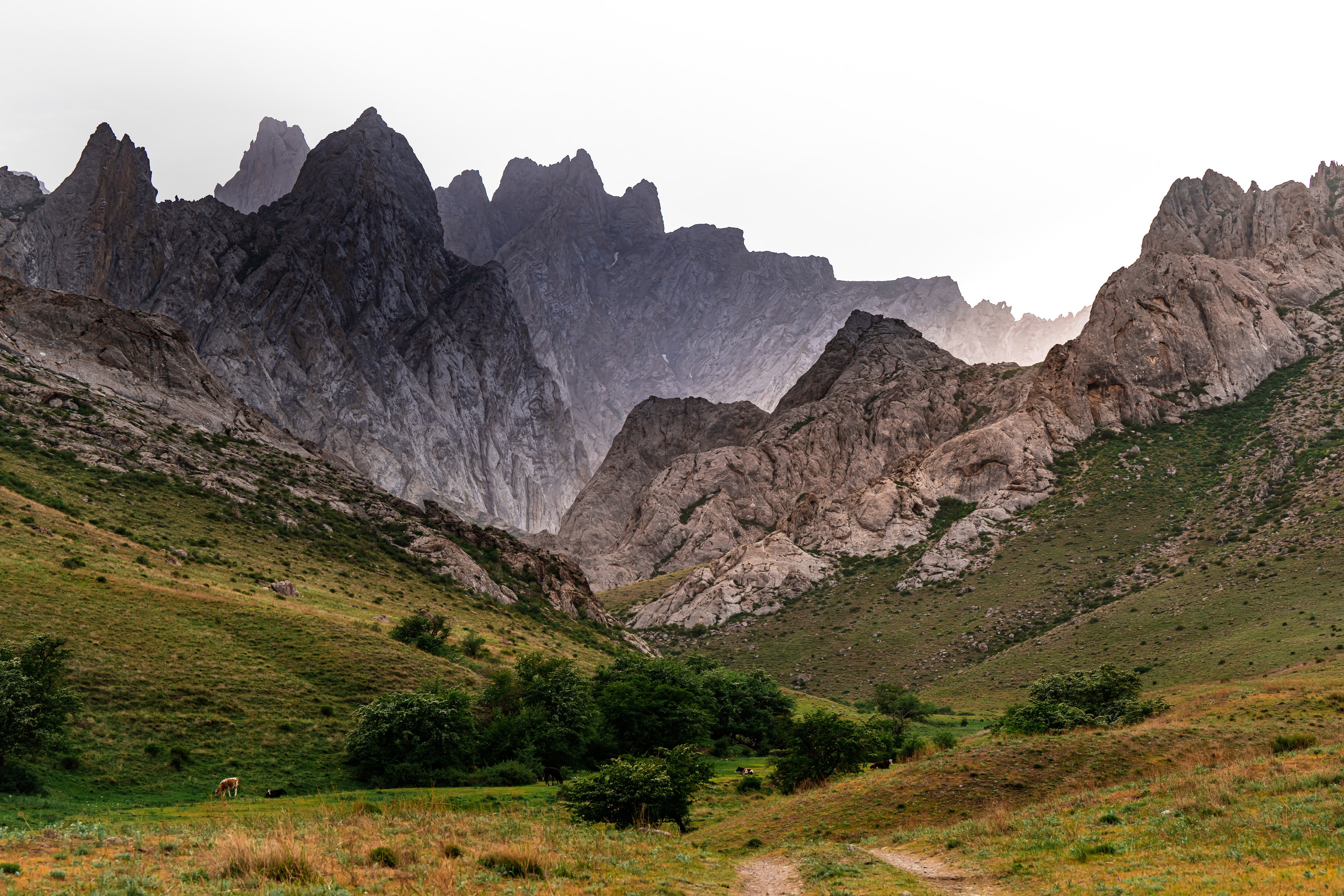 SKYLINE ART SPACE. Картины о красоте, культурных ценностях и традициях Казахстана