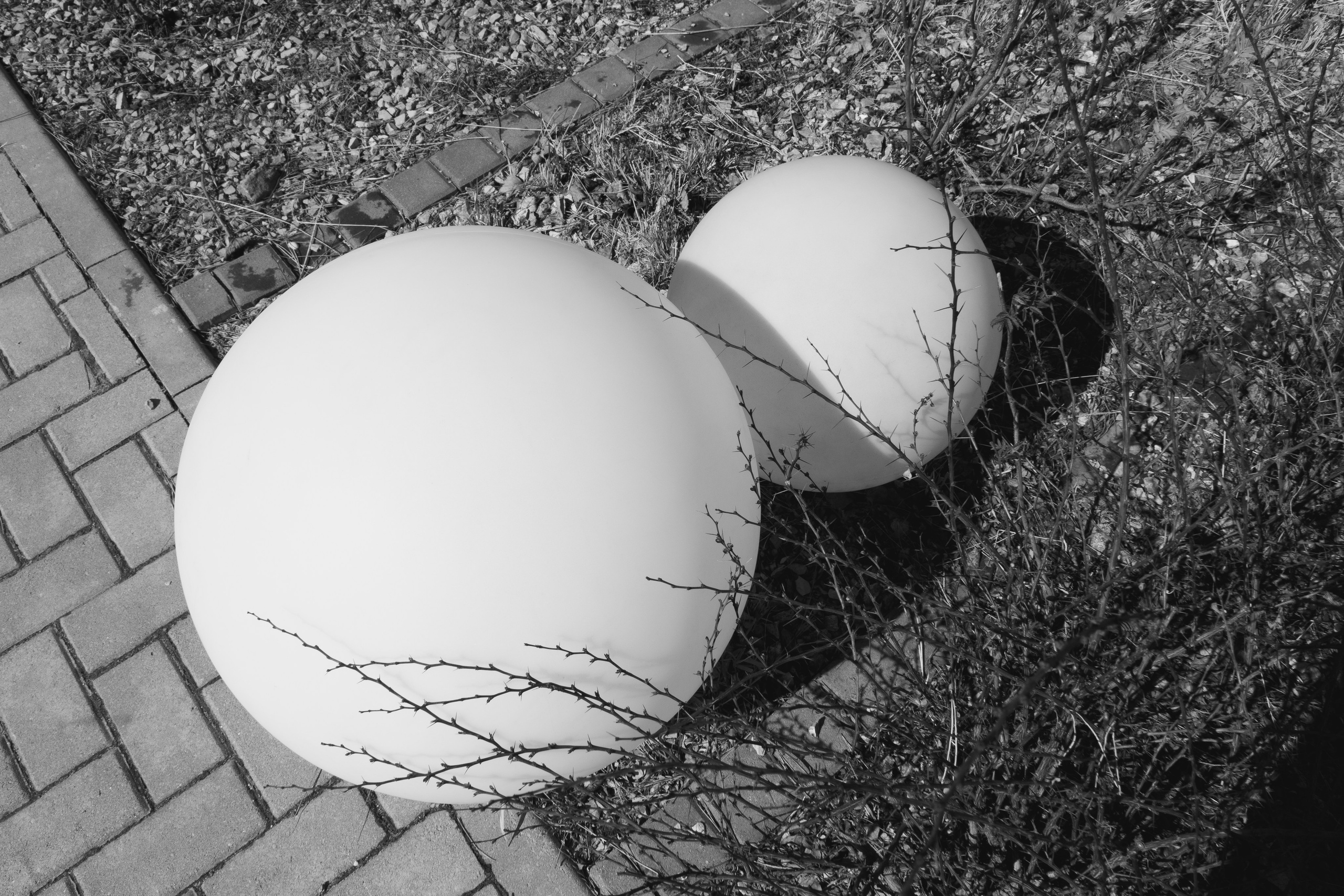 Академический Ч\Б стрит. Фотограф Евгений Серебряков в Екатеринбурге