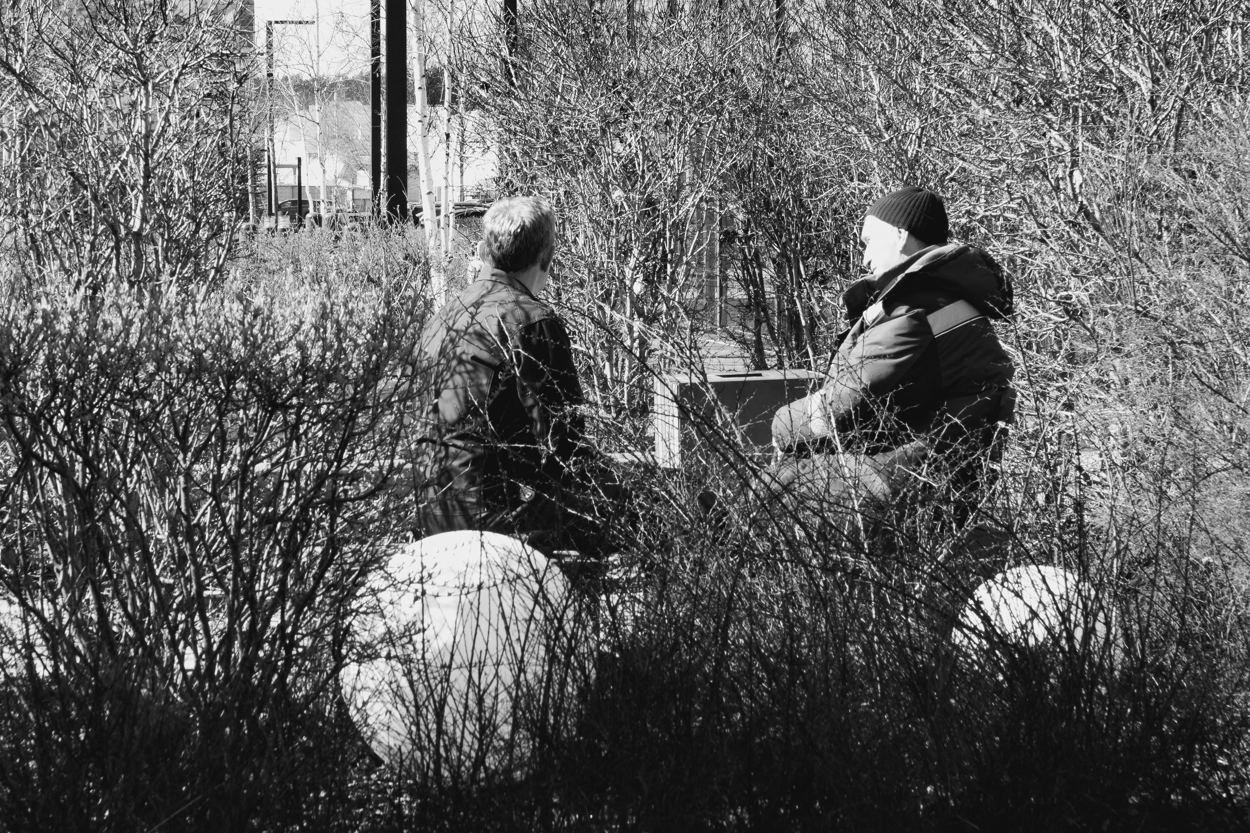 Академический Ч\Б стрит. Фотограф Евгений Серебряков в Екатеринбурге