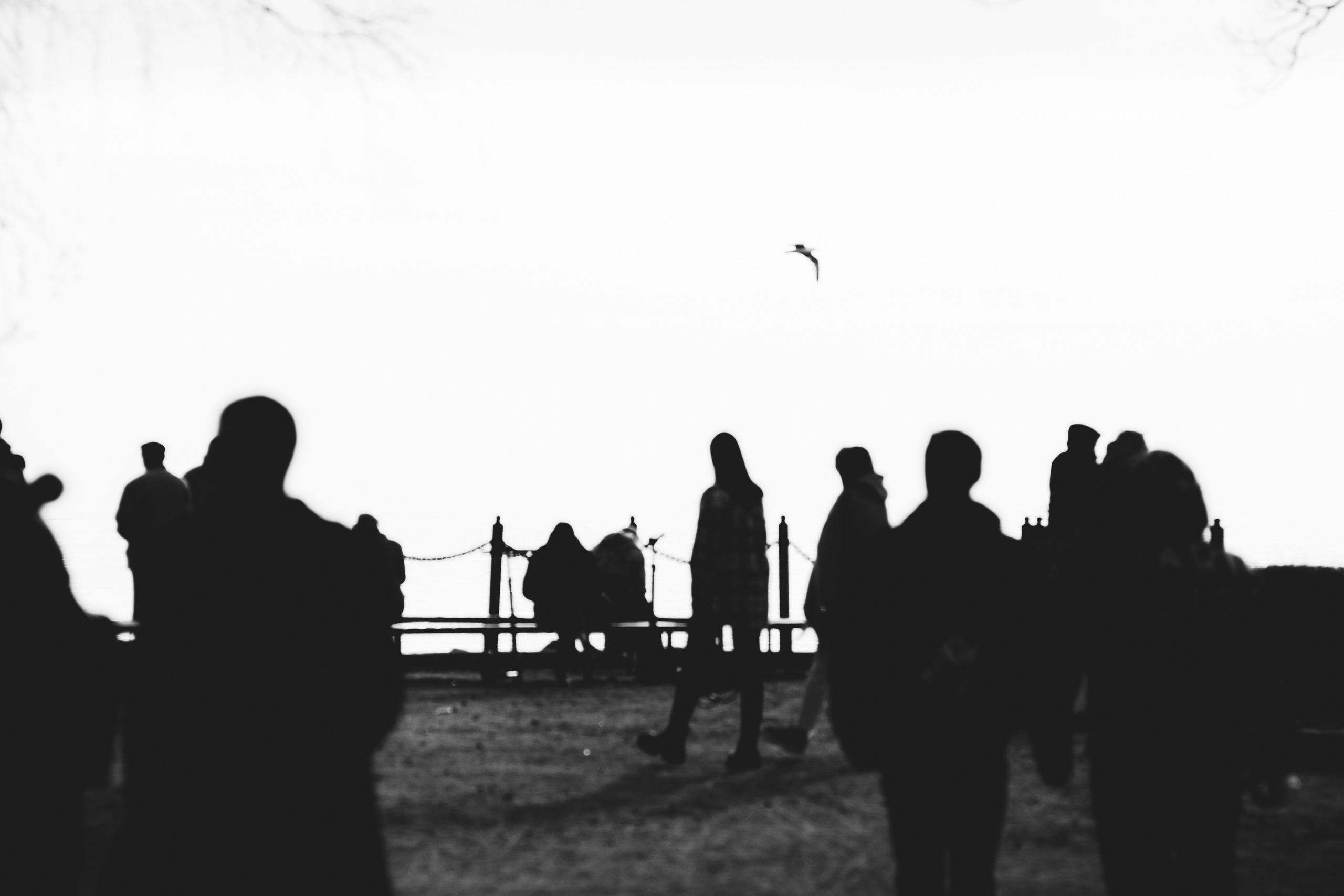 Постеры. Портретный и концертный фотограф в Санкт-Петербурге Егор Телятников