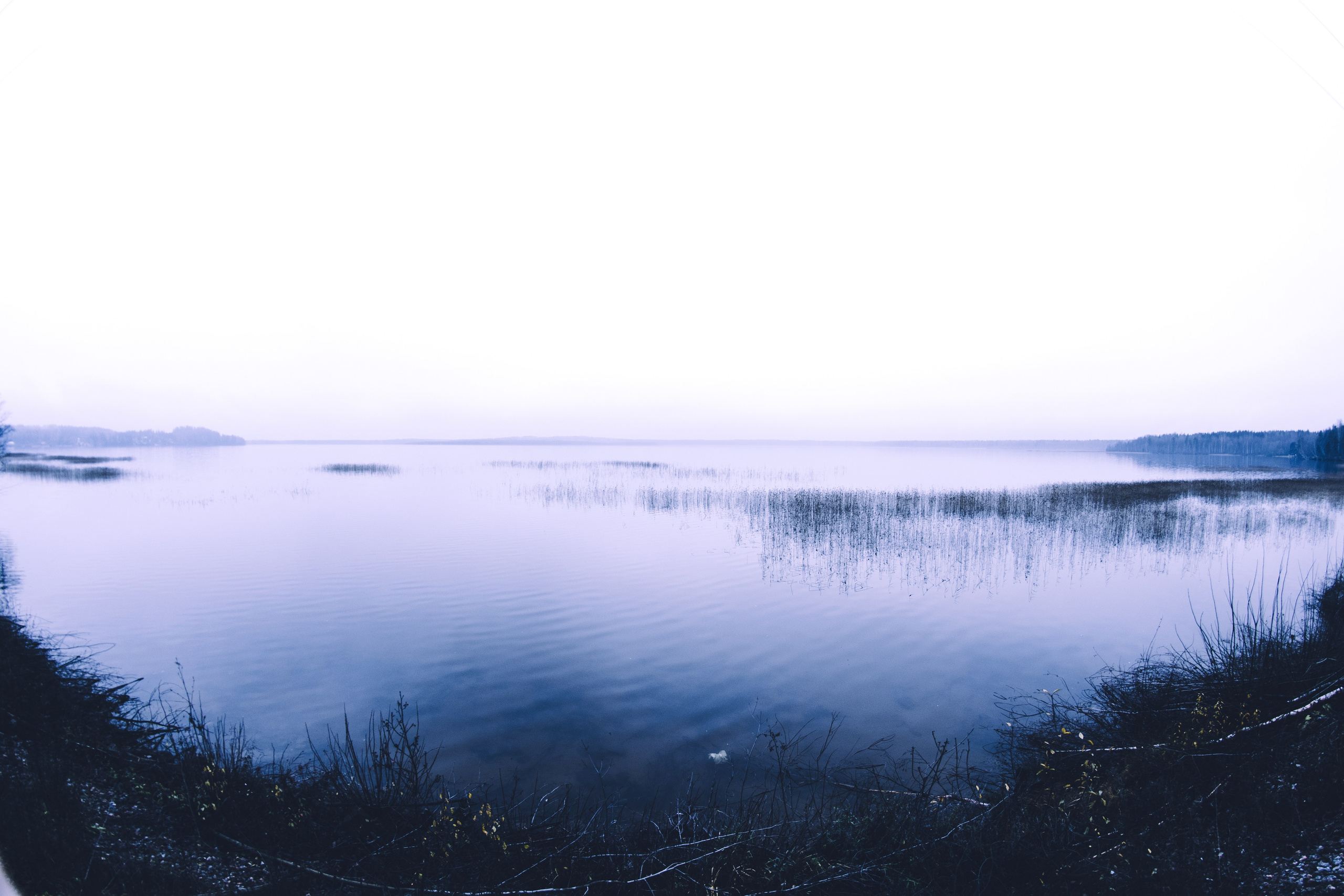 Постеры. Портретный и концертный фотограф в Санкт-Петербурге Егор Телятников