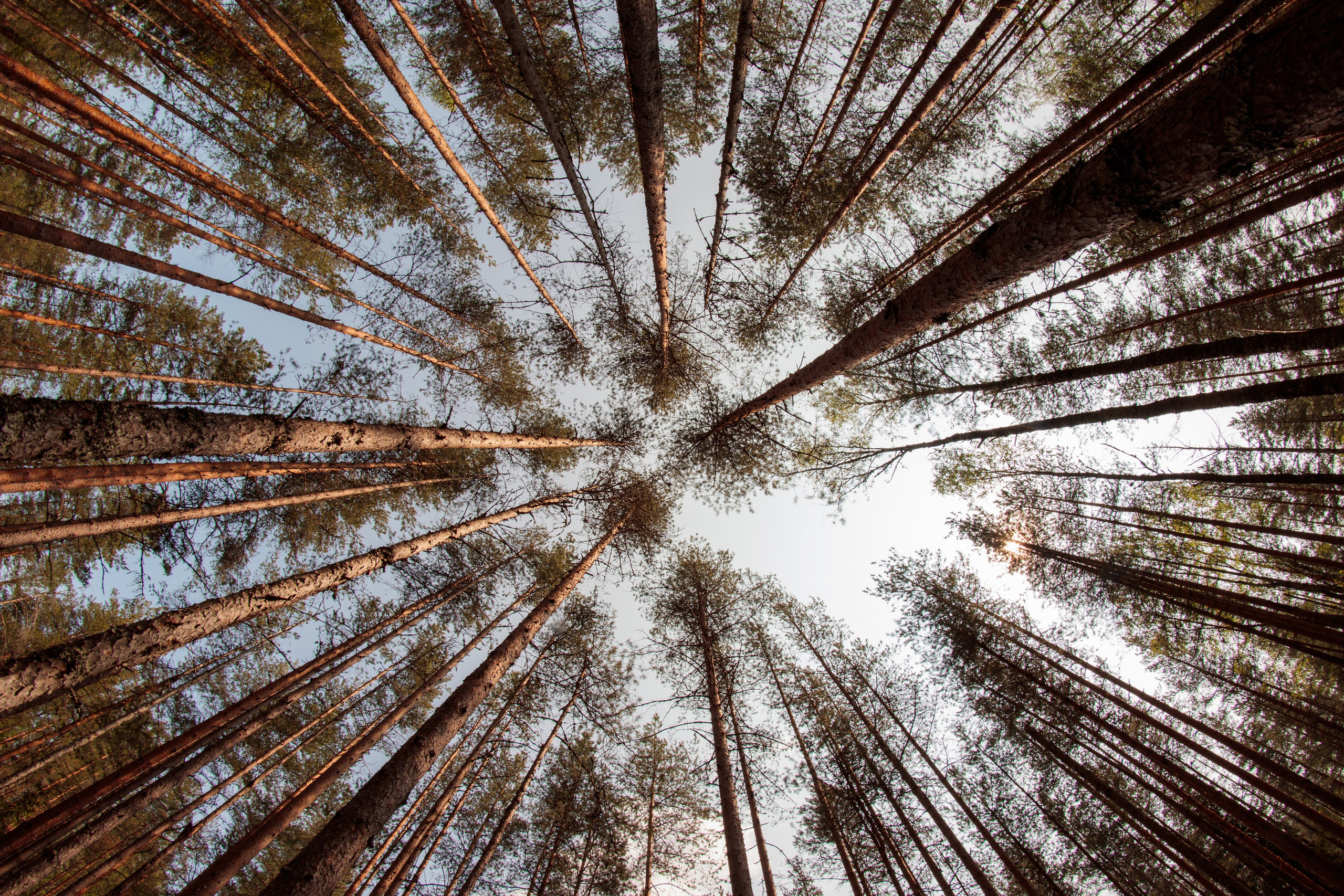 Постеры. Портретный и концертный фотограф в Санкт-Петербурге Егор Телятников