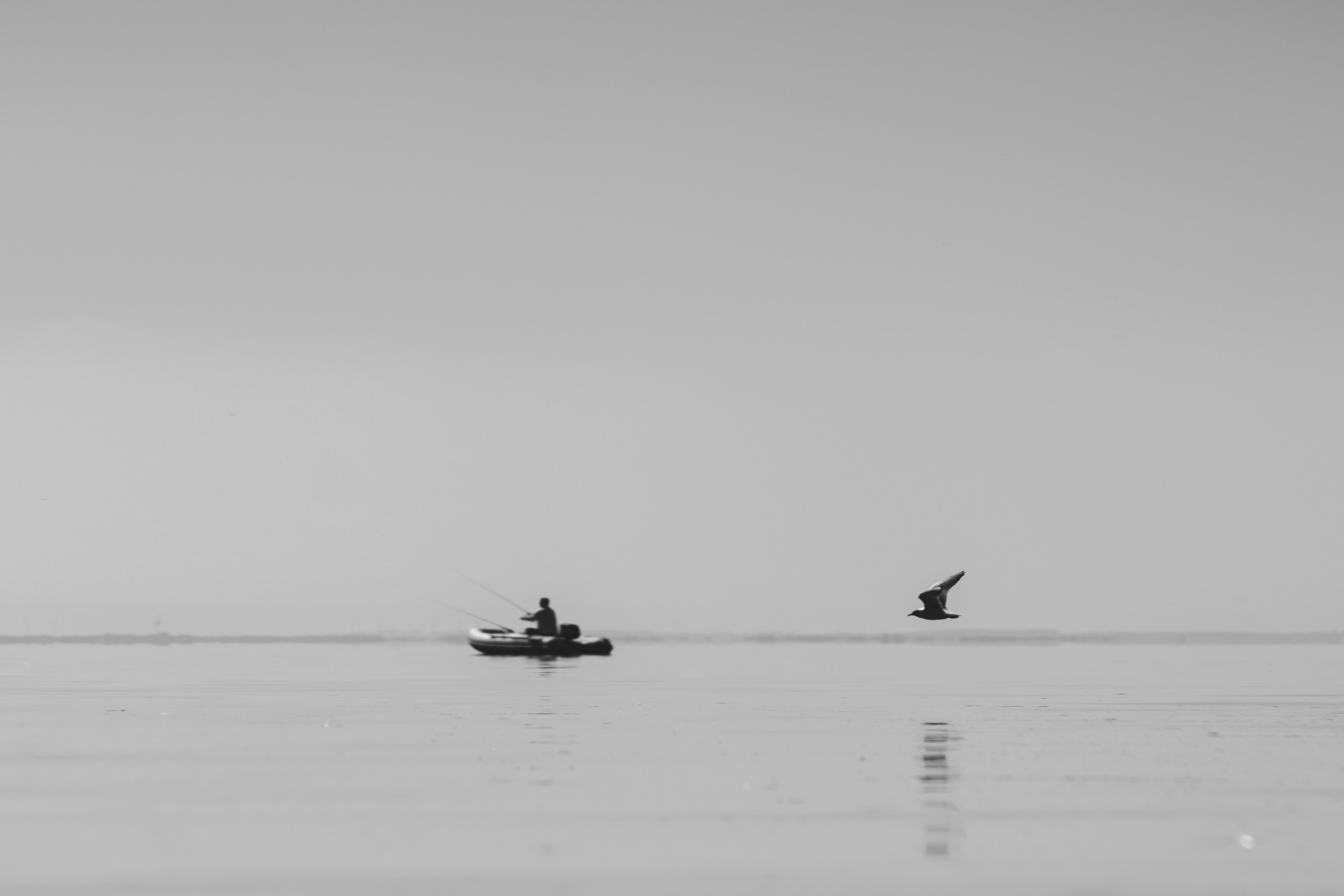 Постеры. Портретный и концертный фотограф в Санкт-Петербурге Егор Телятников