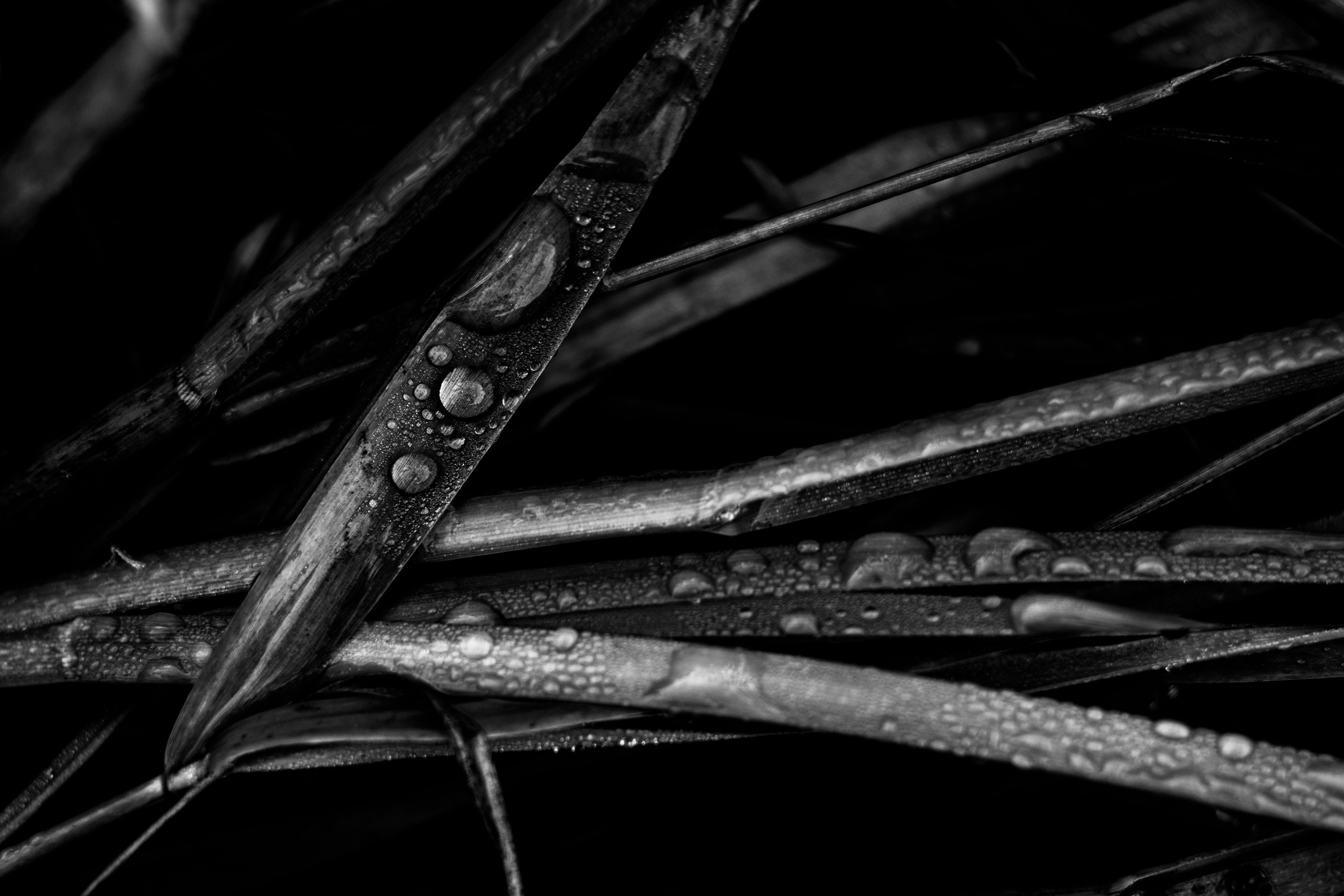 Постеры. Портретный и концертный фотограф в Санкт-Петербурге Егор Телятников