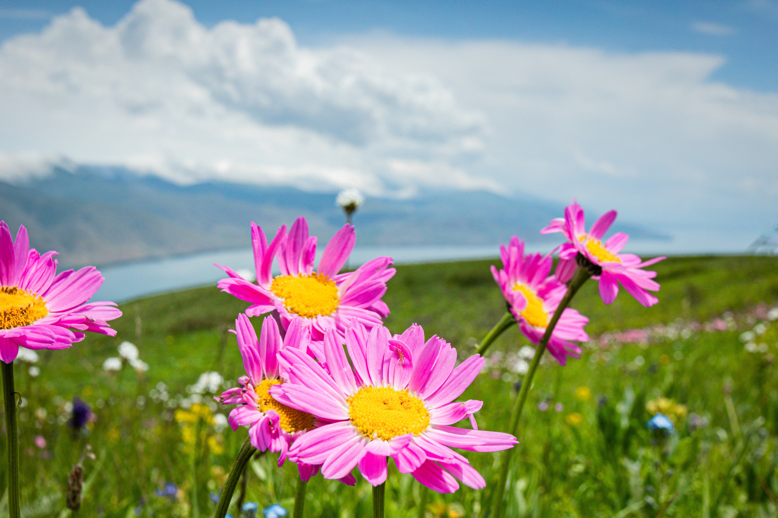 Обучение фотографии г. Москва. Алексей Михеев Фотограф г. Москва