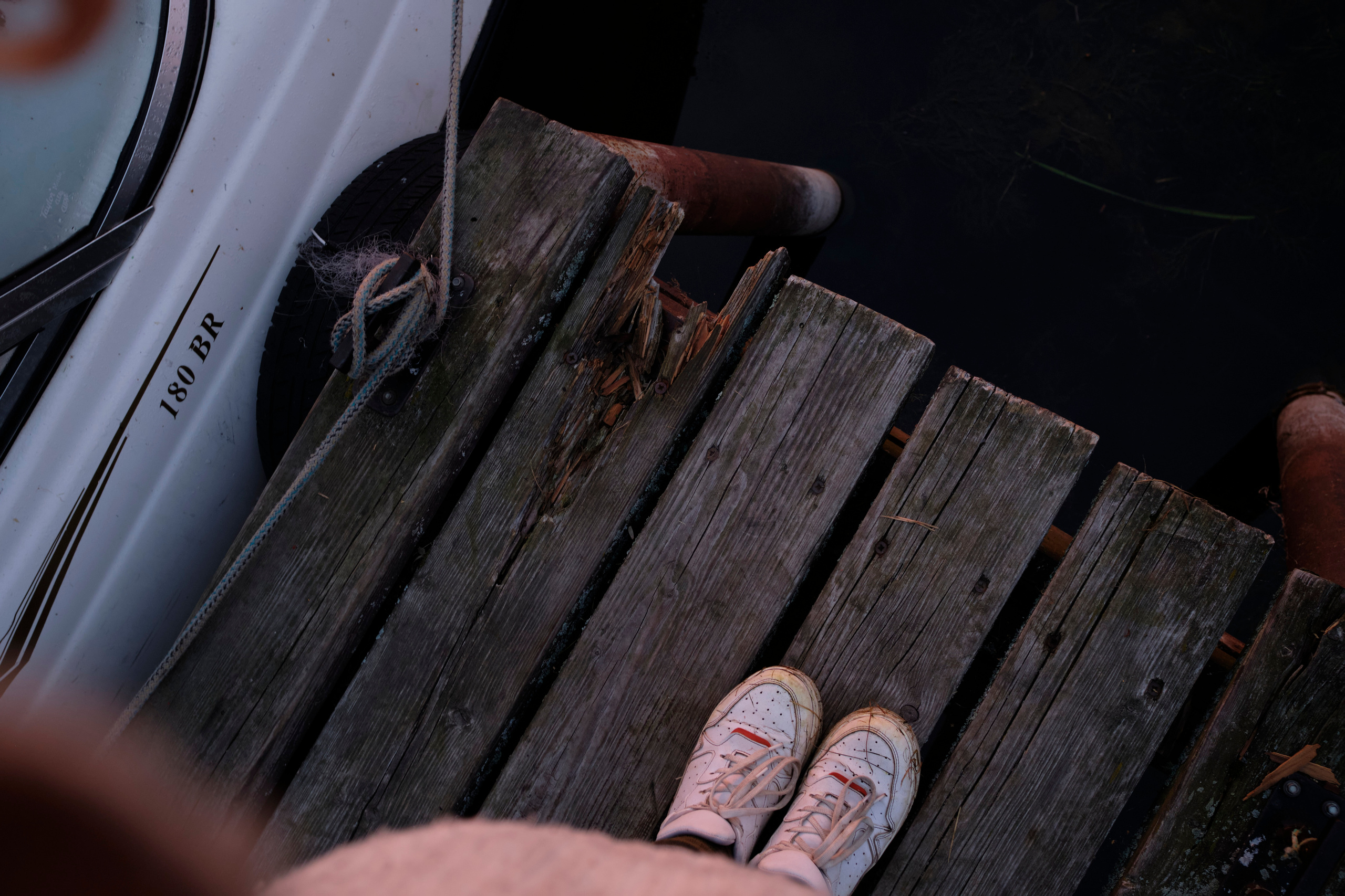 Поездка на Низовку. Волга. Елена Павленко. Фотограф. Москва