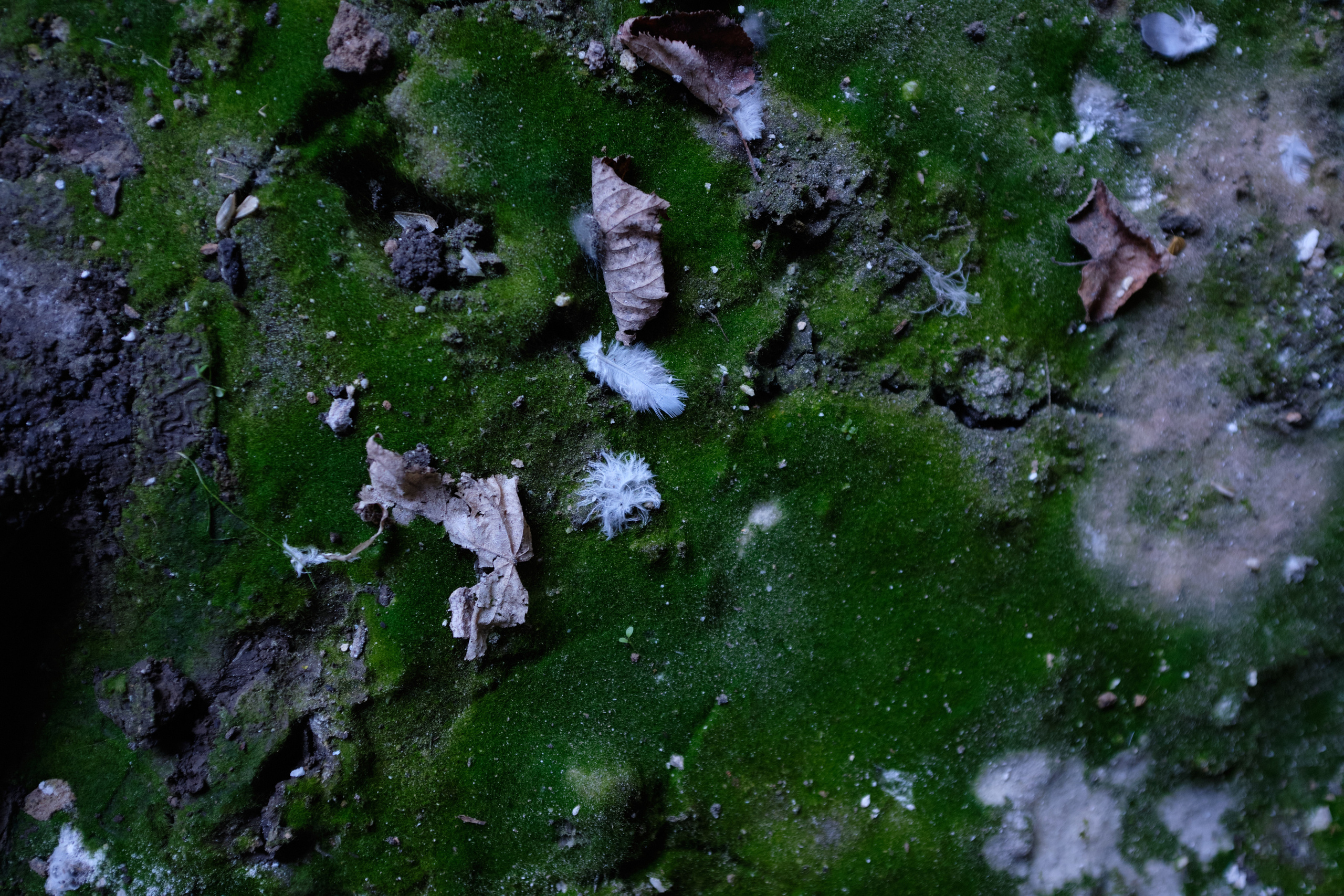 Уфа. Таратау. Вертолетная площадка. Елена Павленко. Фотограф. Москва