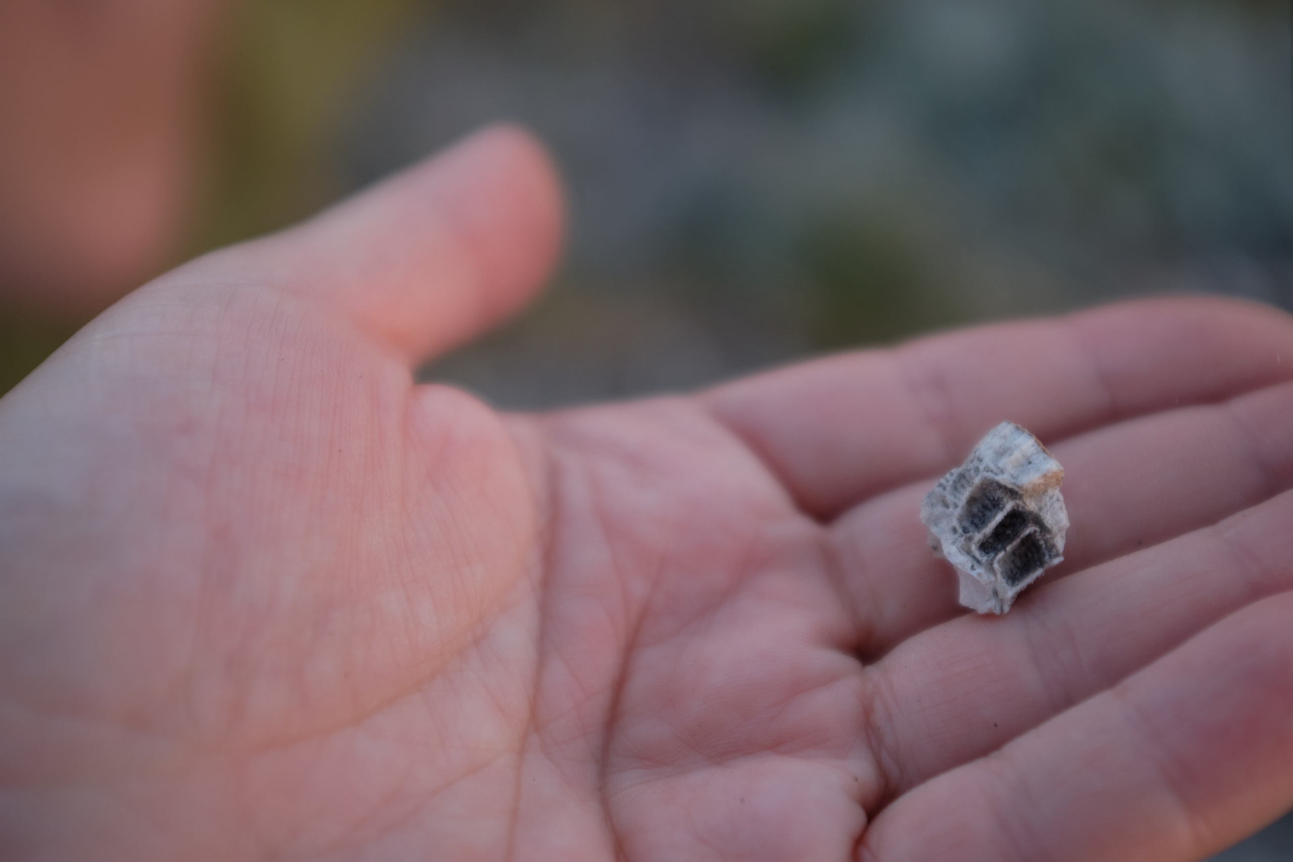 Уфа. Таратау. Вертолетная площадка. Елена Павленко. Фотограф. Москва