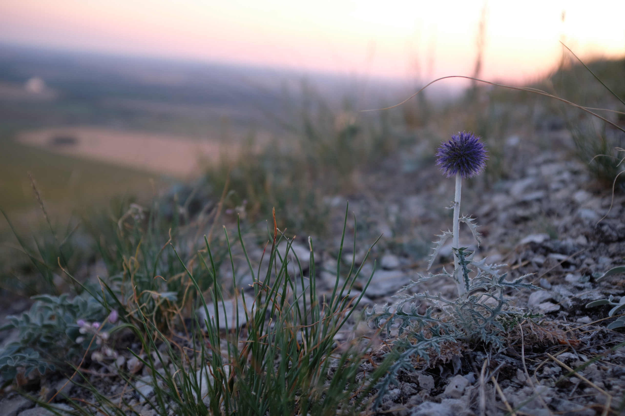 Уфа. Таратау. Вертолетная площадка. Елена Павленко. Фотограф. Москва