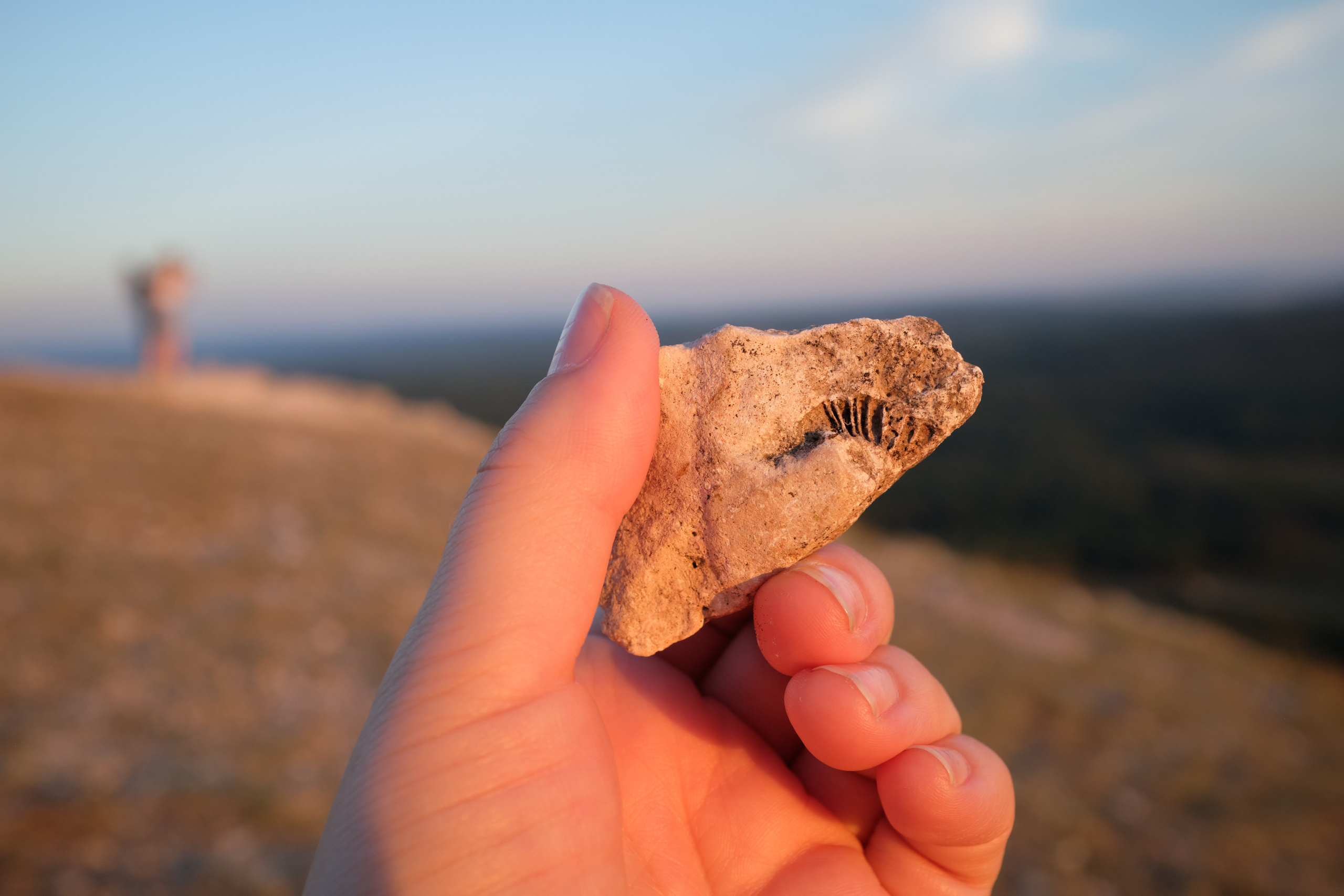 Уфа. Таратау. Вертолетная площадка. Елена Павленко. Фотограф. Москва