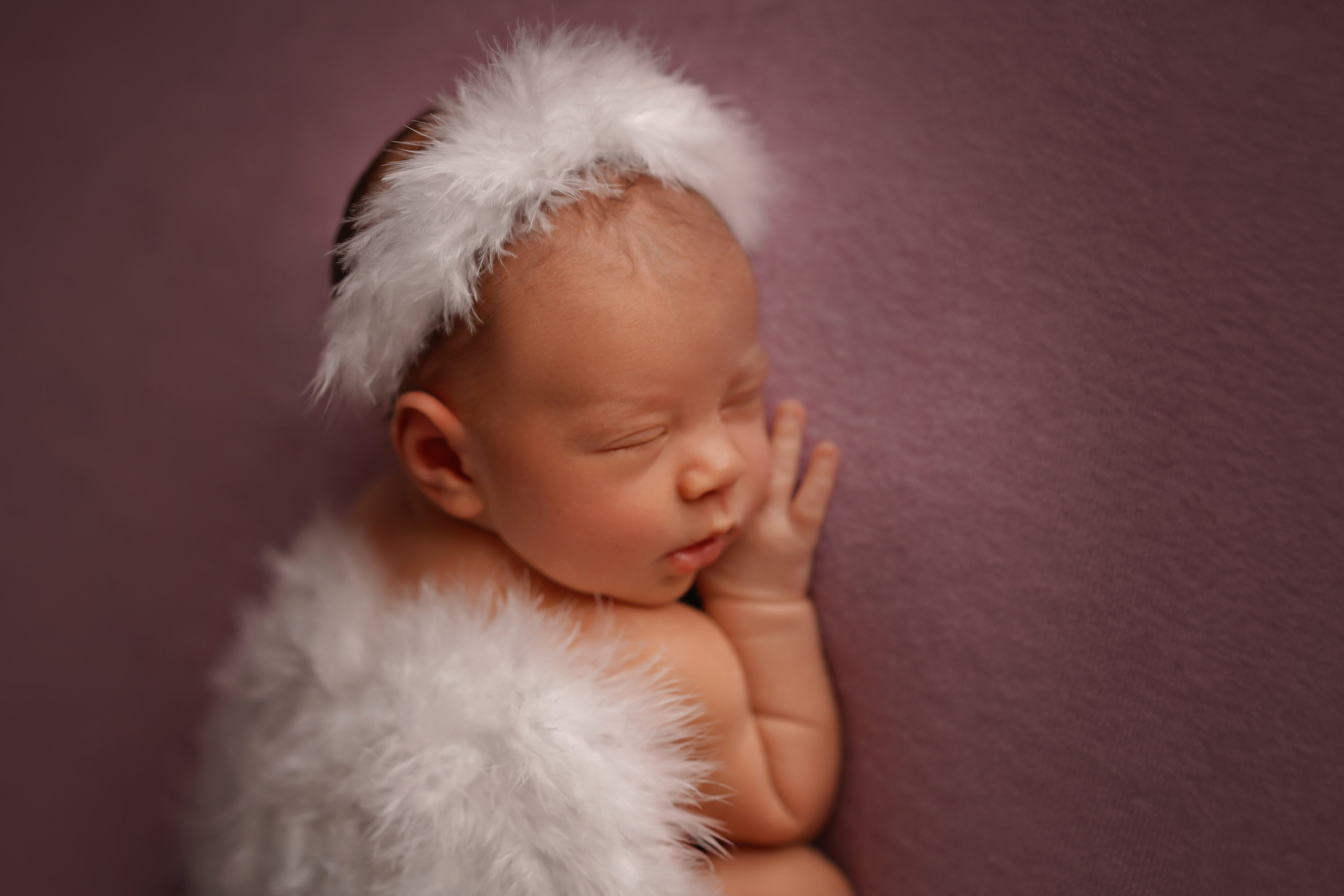 Новорожденные. Классика. Фотограф новорожденных беременных в Тюмени Ткачук Татьяна