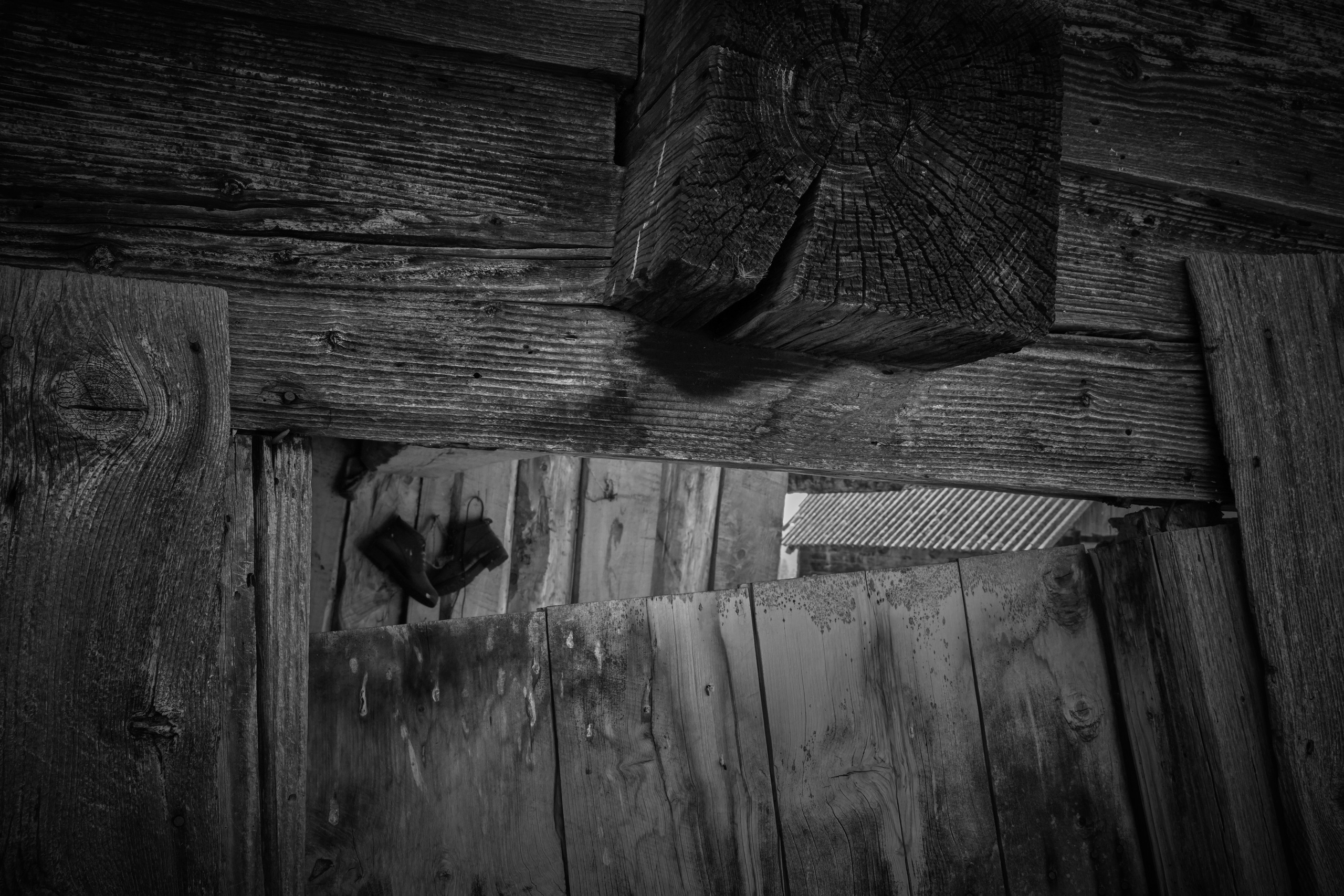 Новые ботинки вышли погулять…. Главная