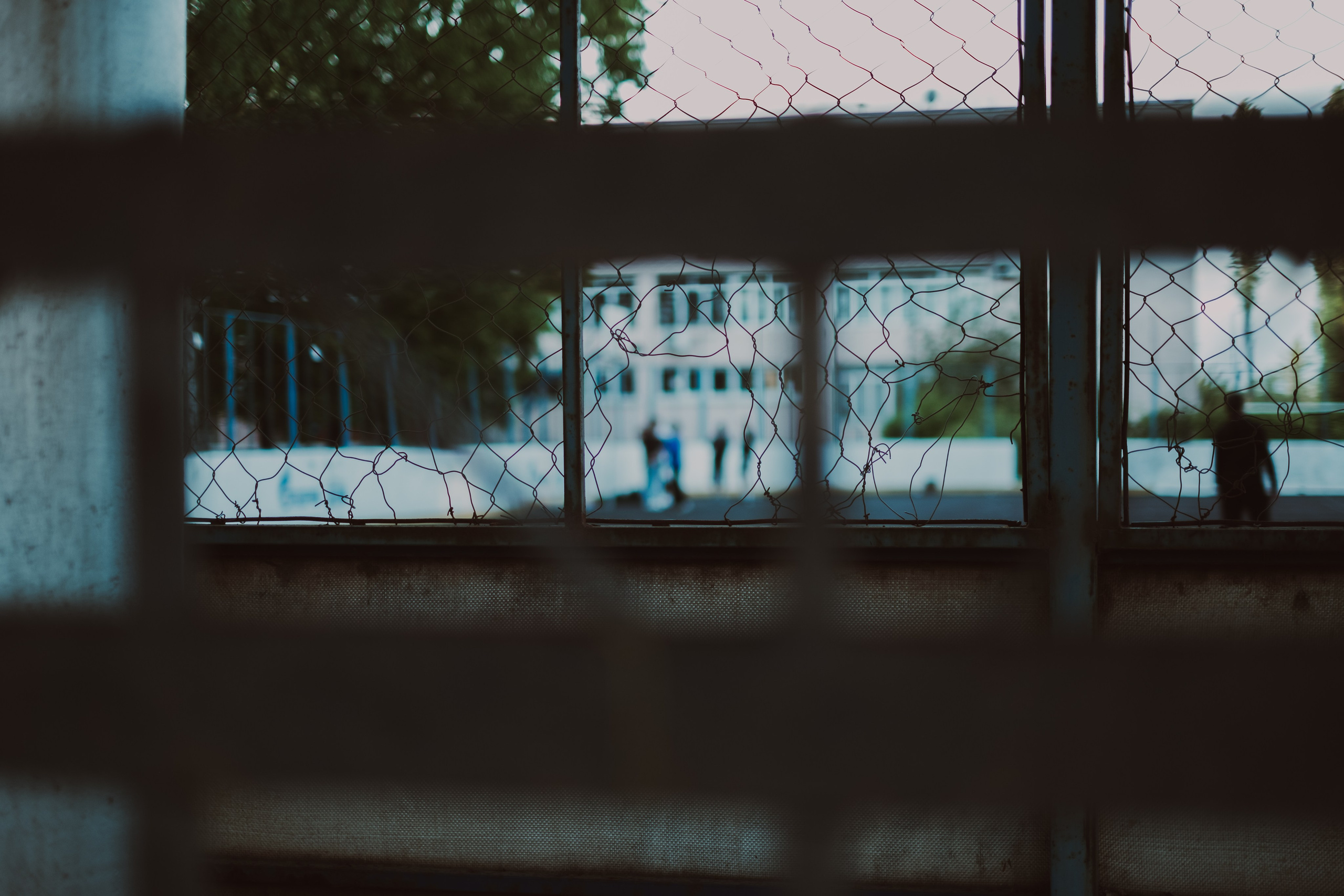 Одиночные снимки