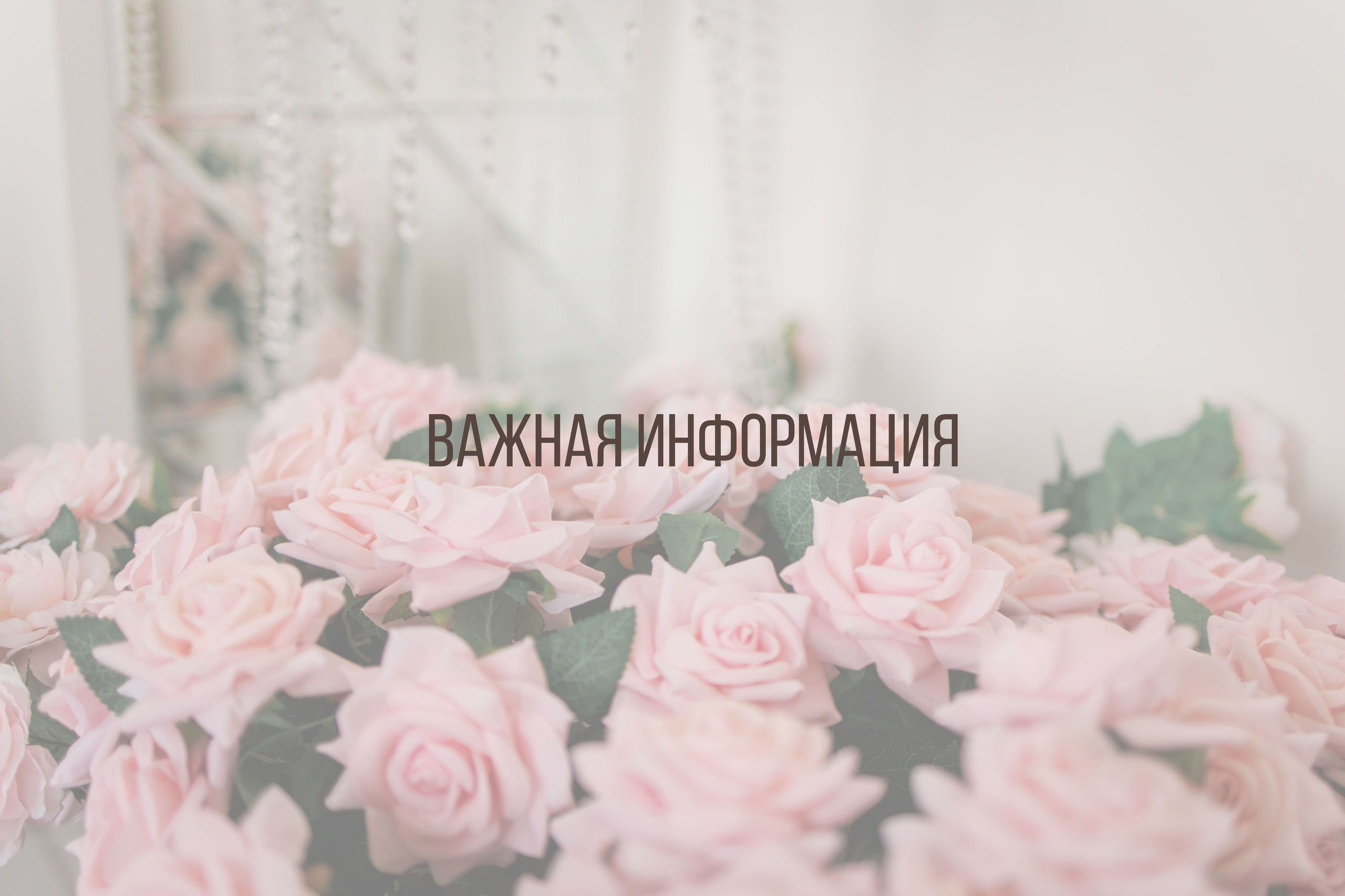 Правила студии. Интерьерная фотостудия Background в Омске